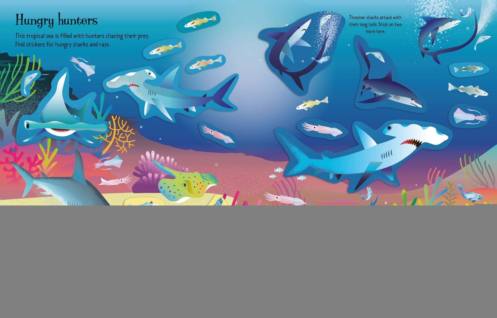 First Sticker Book Sharks and Rays