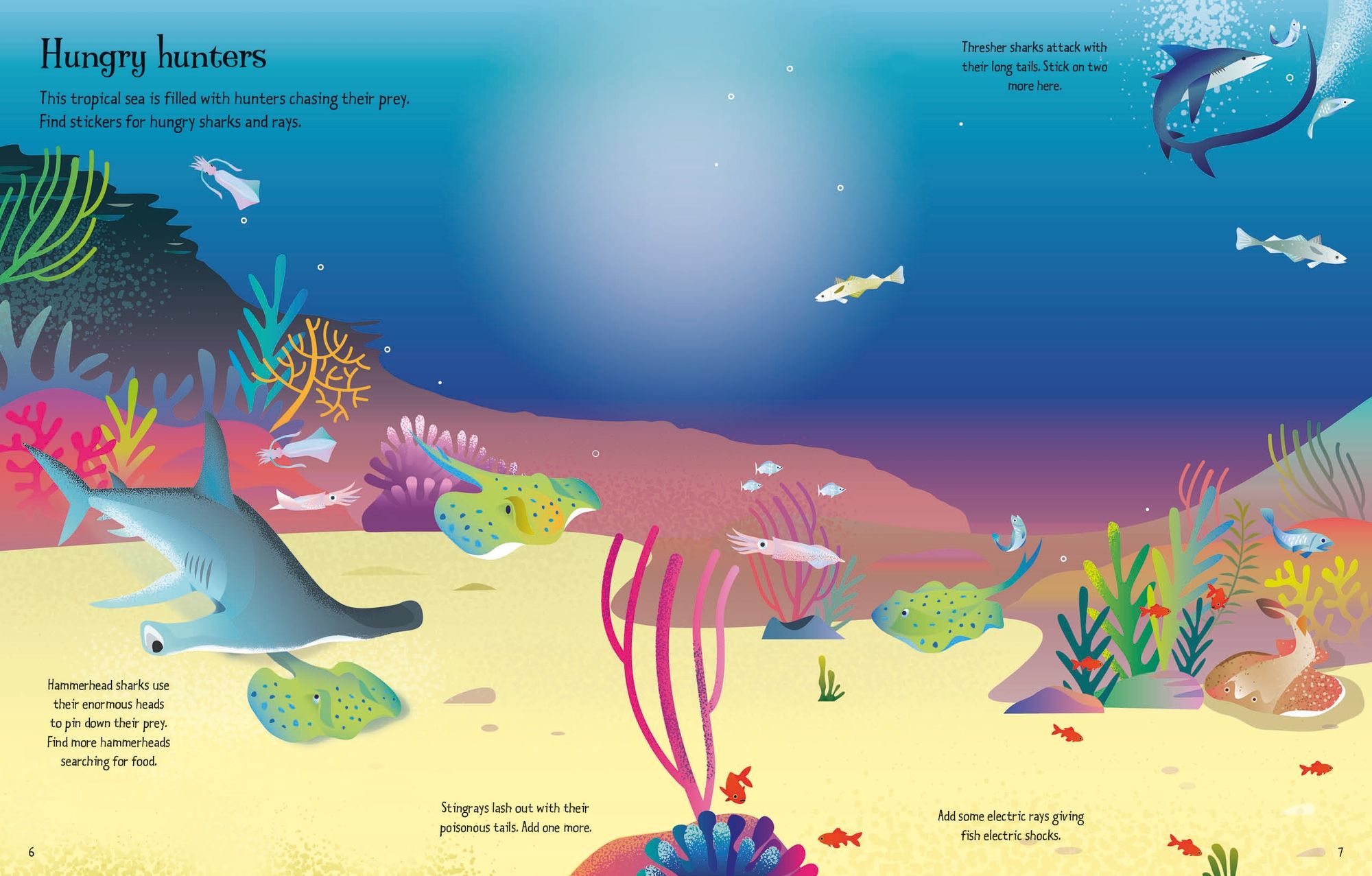 First Sticker Book Sharks and Rays