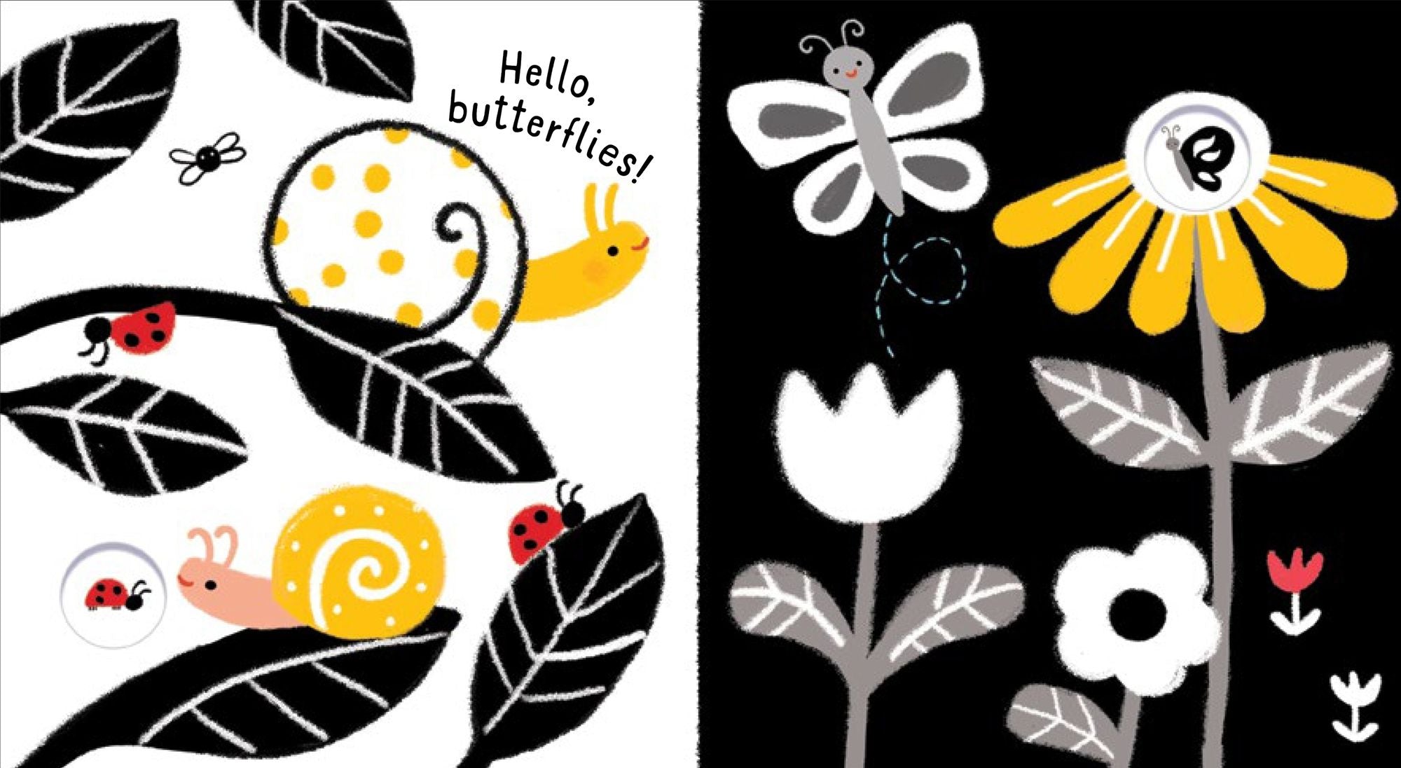 Baby's Black and White Books: Outdoors