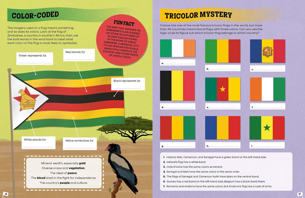 Lonely Planet Kids The Flag Activity Book: Word Games, Picture Challenges, Quizzes & More Fun Facts & Awesome Info for Budding Vexillologists Vibrant Full Color Design