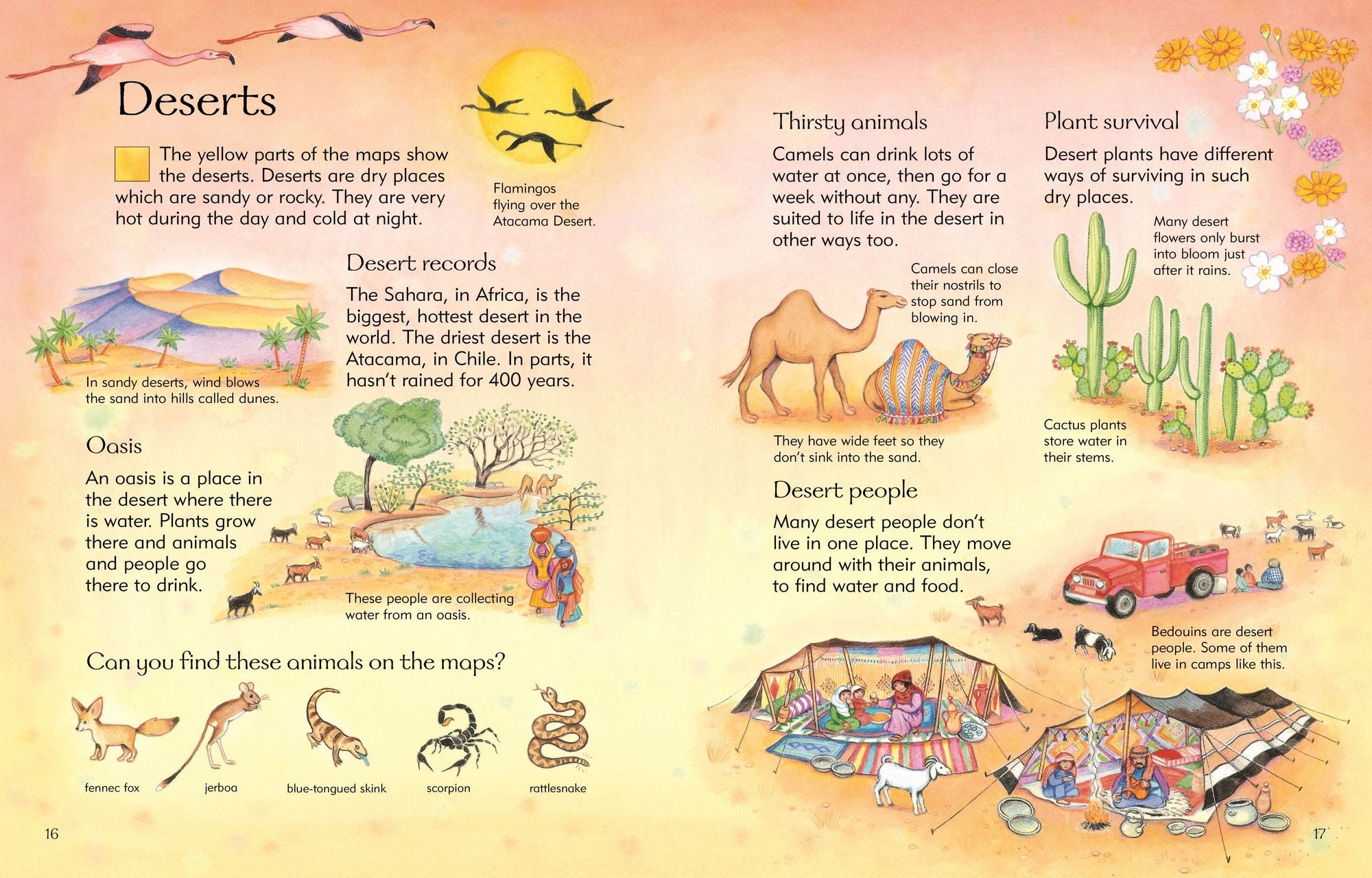 Children's Picture Atlas