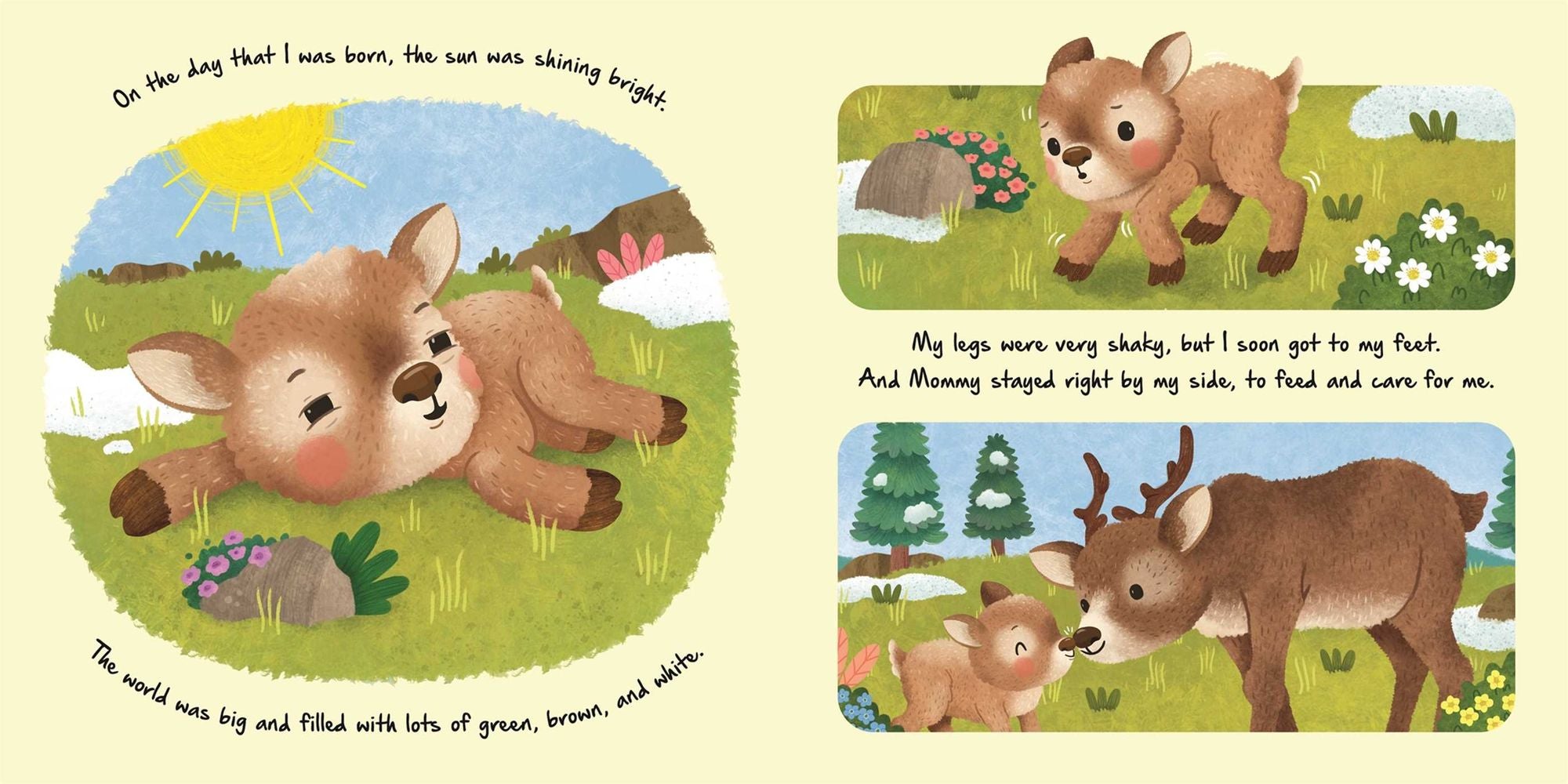 Nature Stories: Little Reindeer