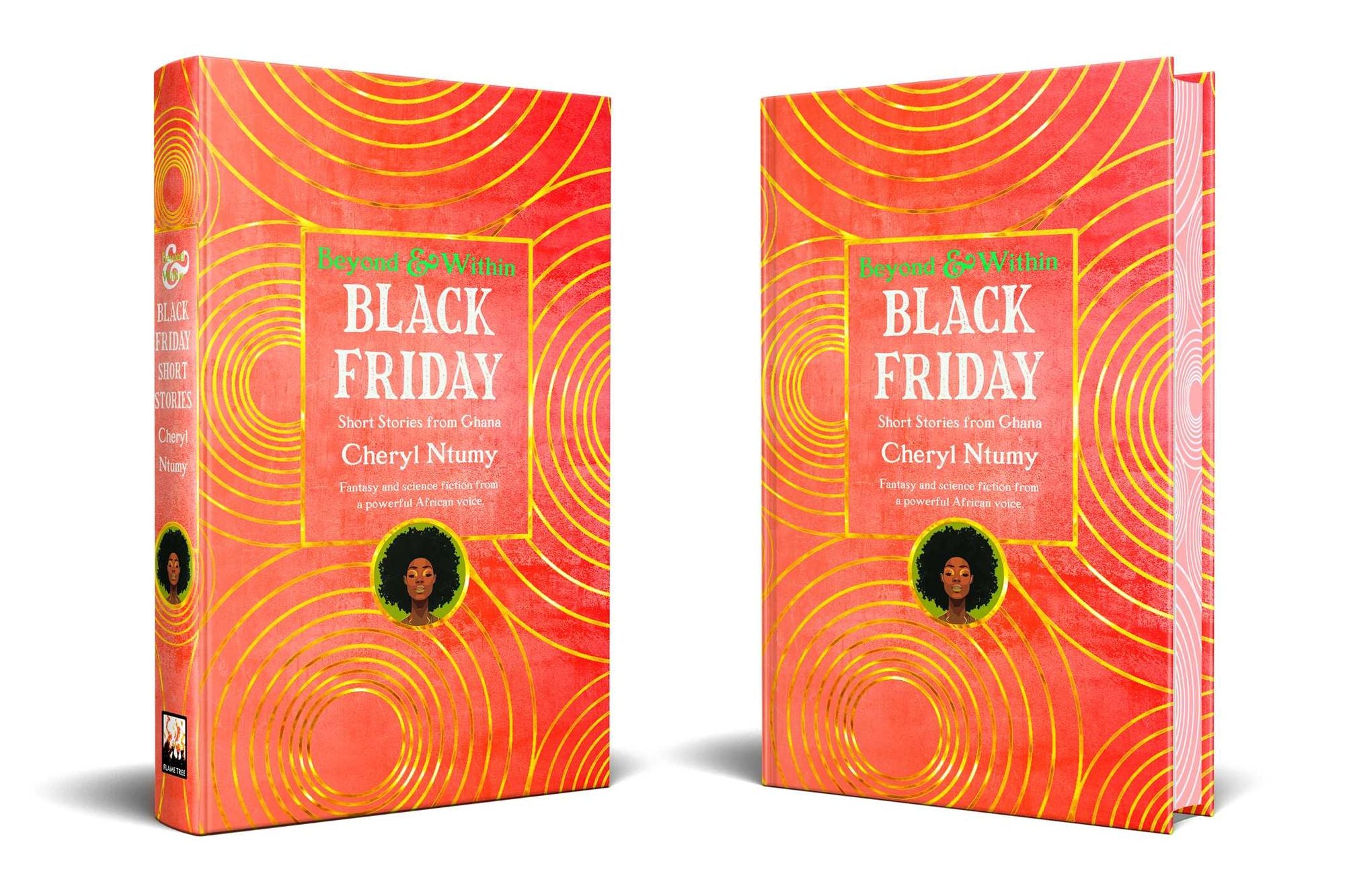 Black Friday: Short Stories from Africa