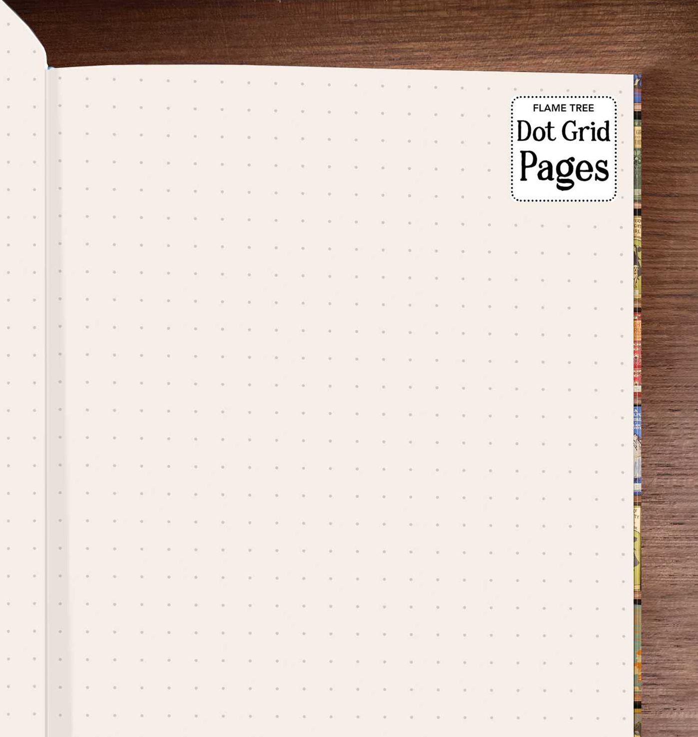 Bodleian Libraries: High Jinks Bookshelves (Foiled Dot Grid Journal)