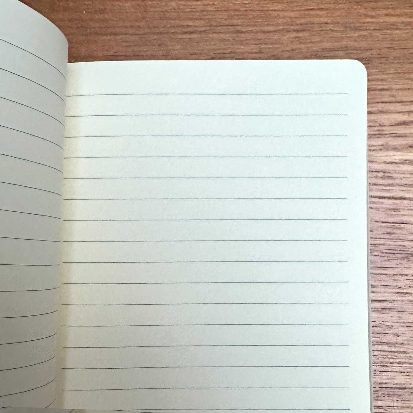 Jade Mosinski: Garden Bees Artisan Art Notebook (Flame Tree Journals)
