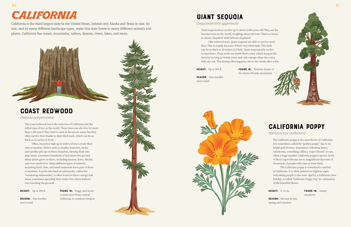 America is Wild!: A State-By-State Encyclopedia of American Wildlife