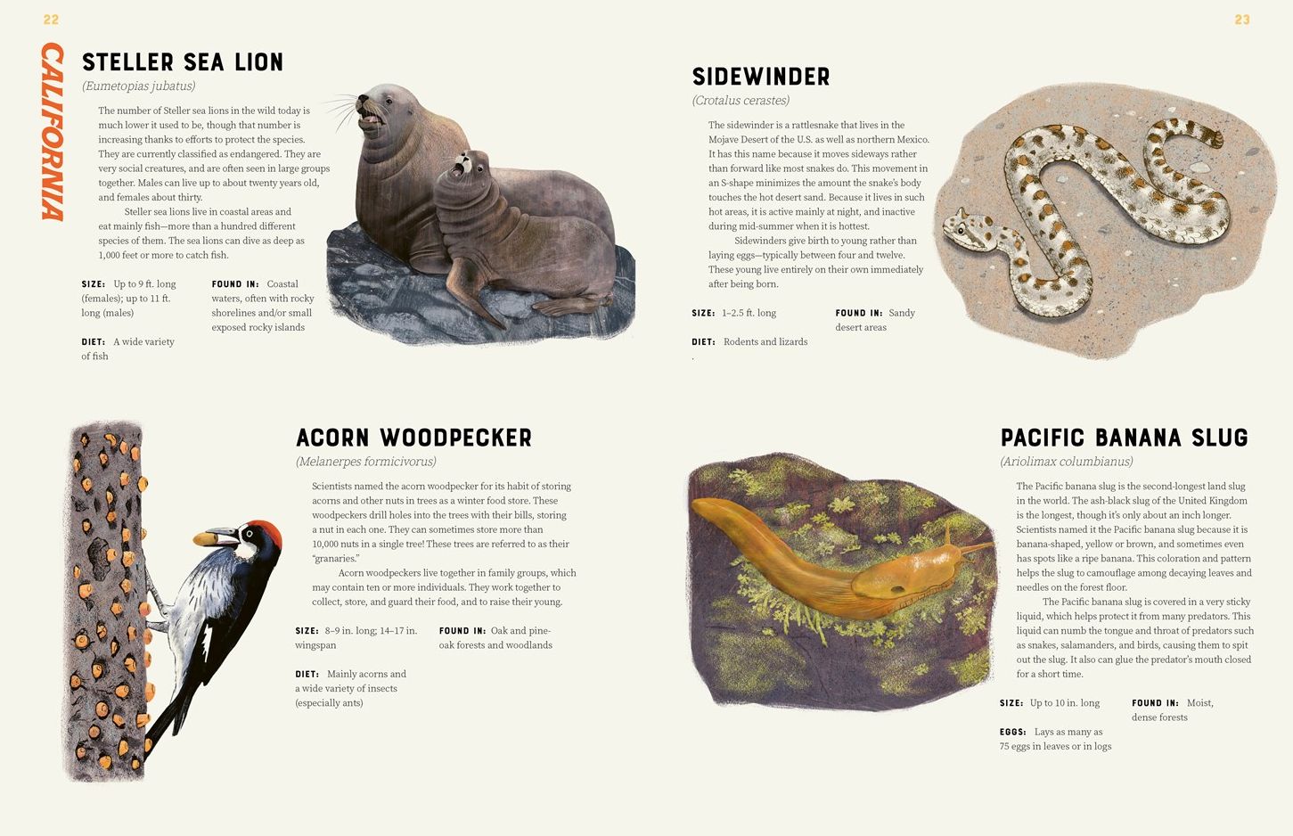 America is Wild!: A State-By-State Encyclopedia of American Wildlife