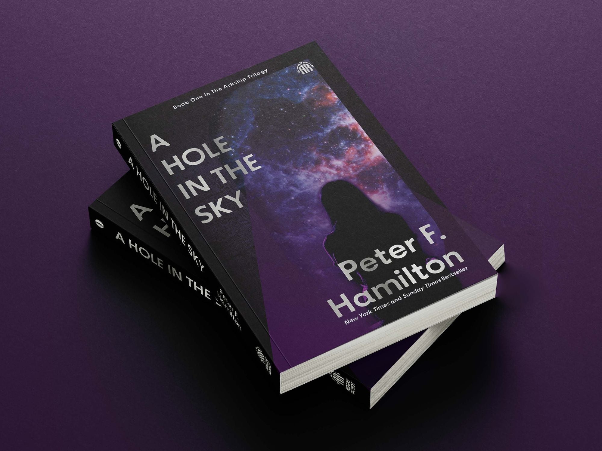 A Hole in The Sky: Arkship Trilogy Book I