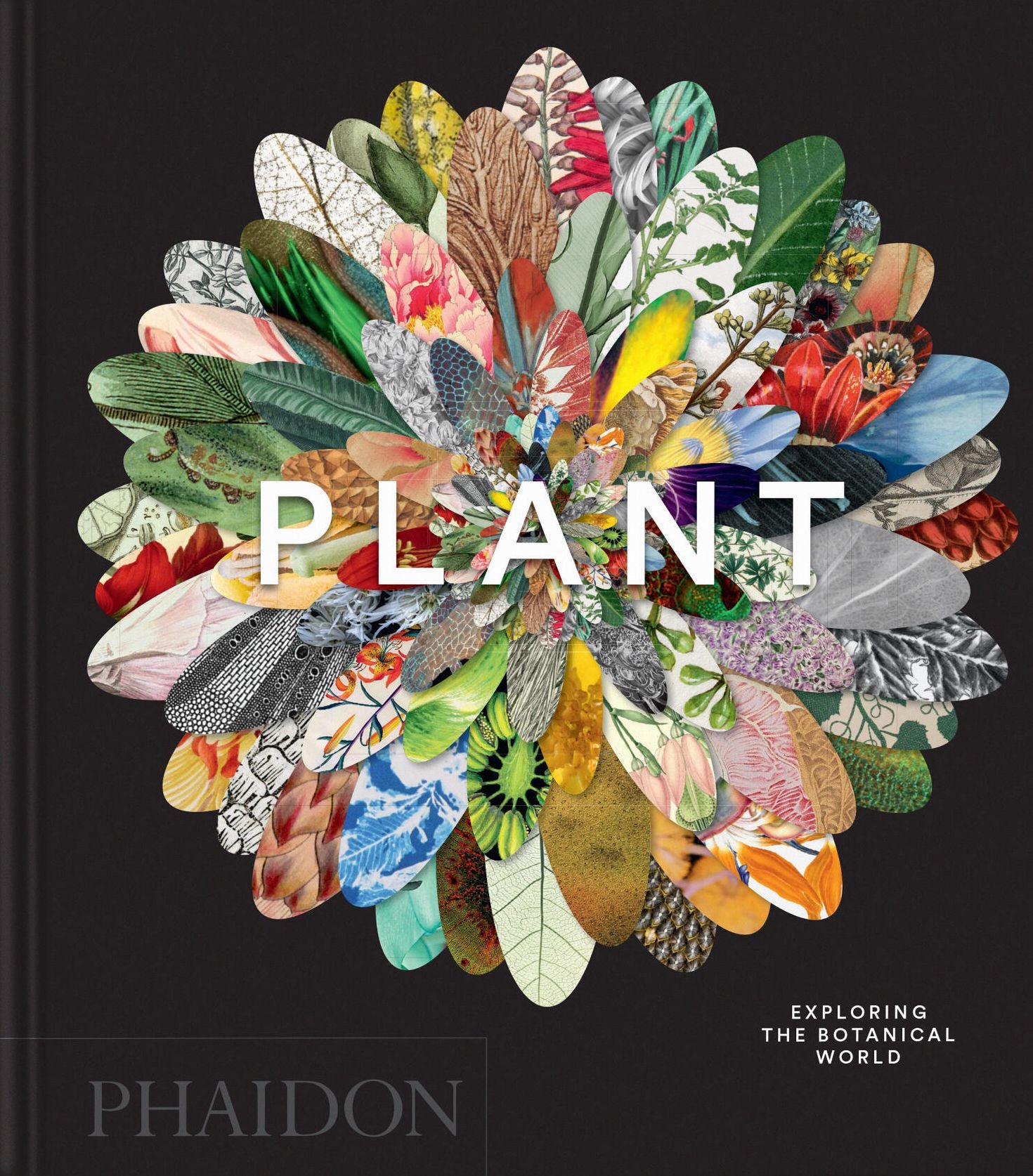 Plant: Exploring the Botanical World