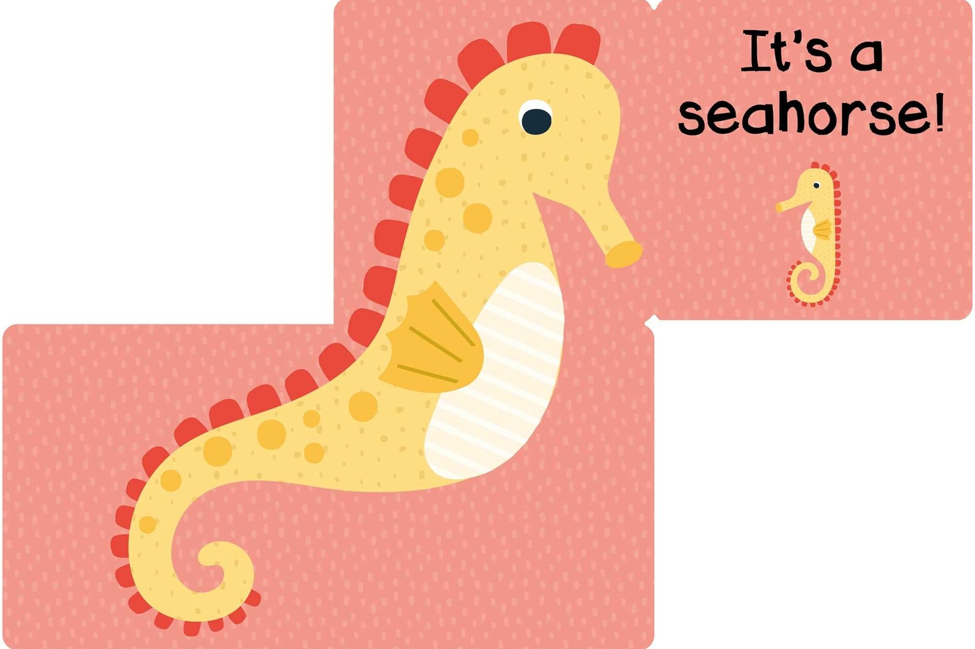 Who Am I? Under The Sea: Interactive Lift-the-Flap Guessing Game Book for Babies & Toddlers
