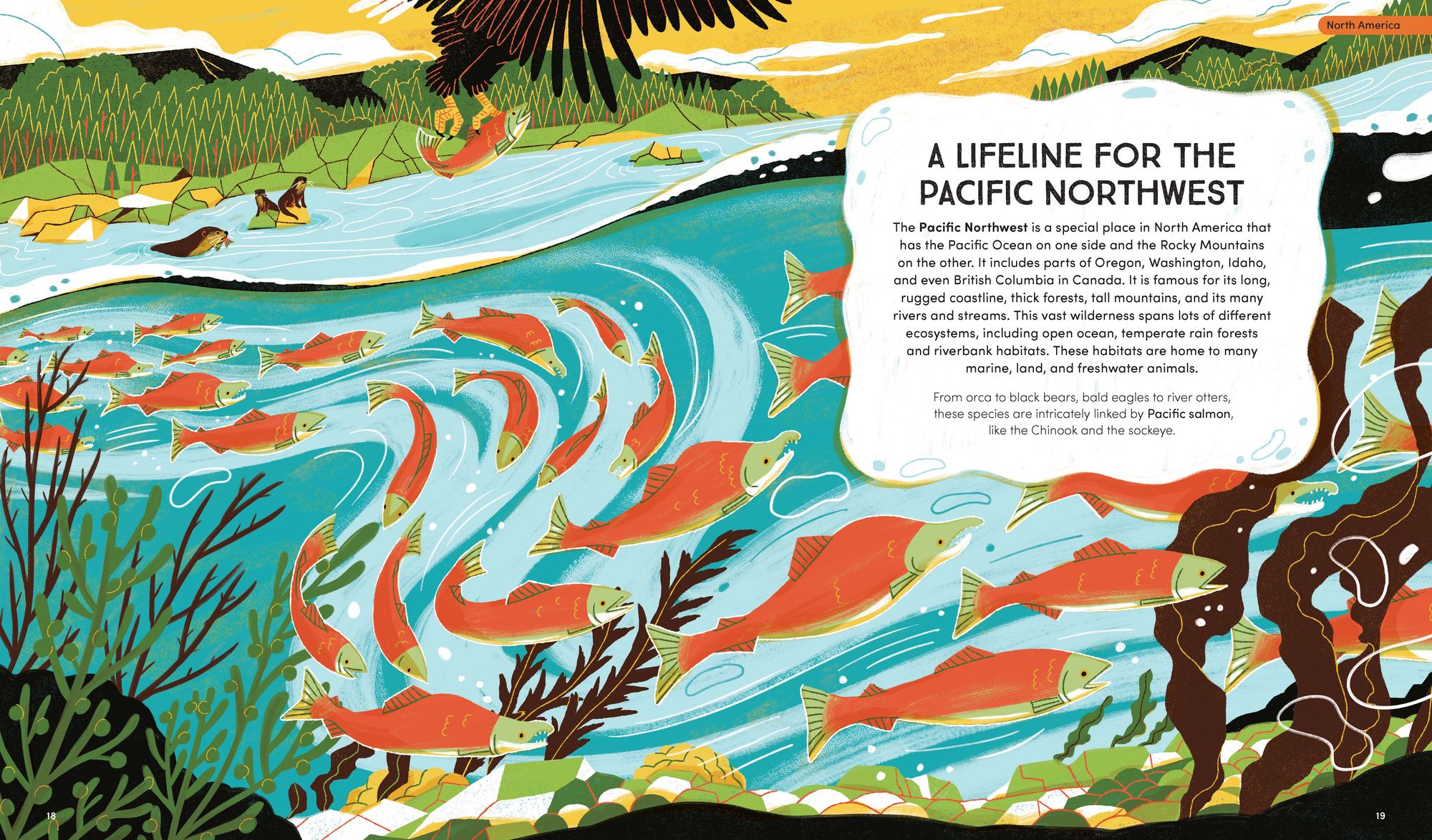 Wildlife in the Balance: The Species that Shape Earth's Ecosystems
