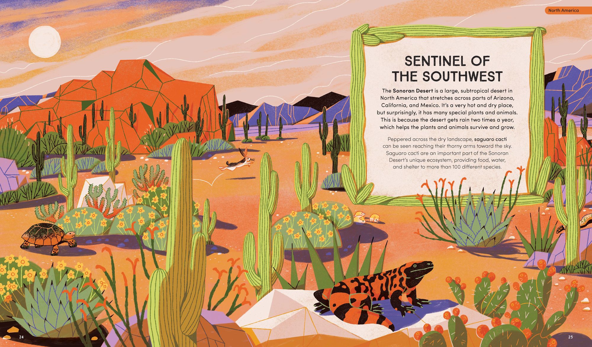 Wildlife in the Balance: The Species that Shape Earth's Ecosystems