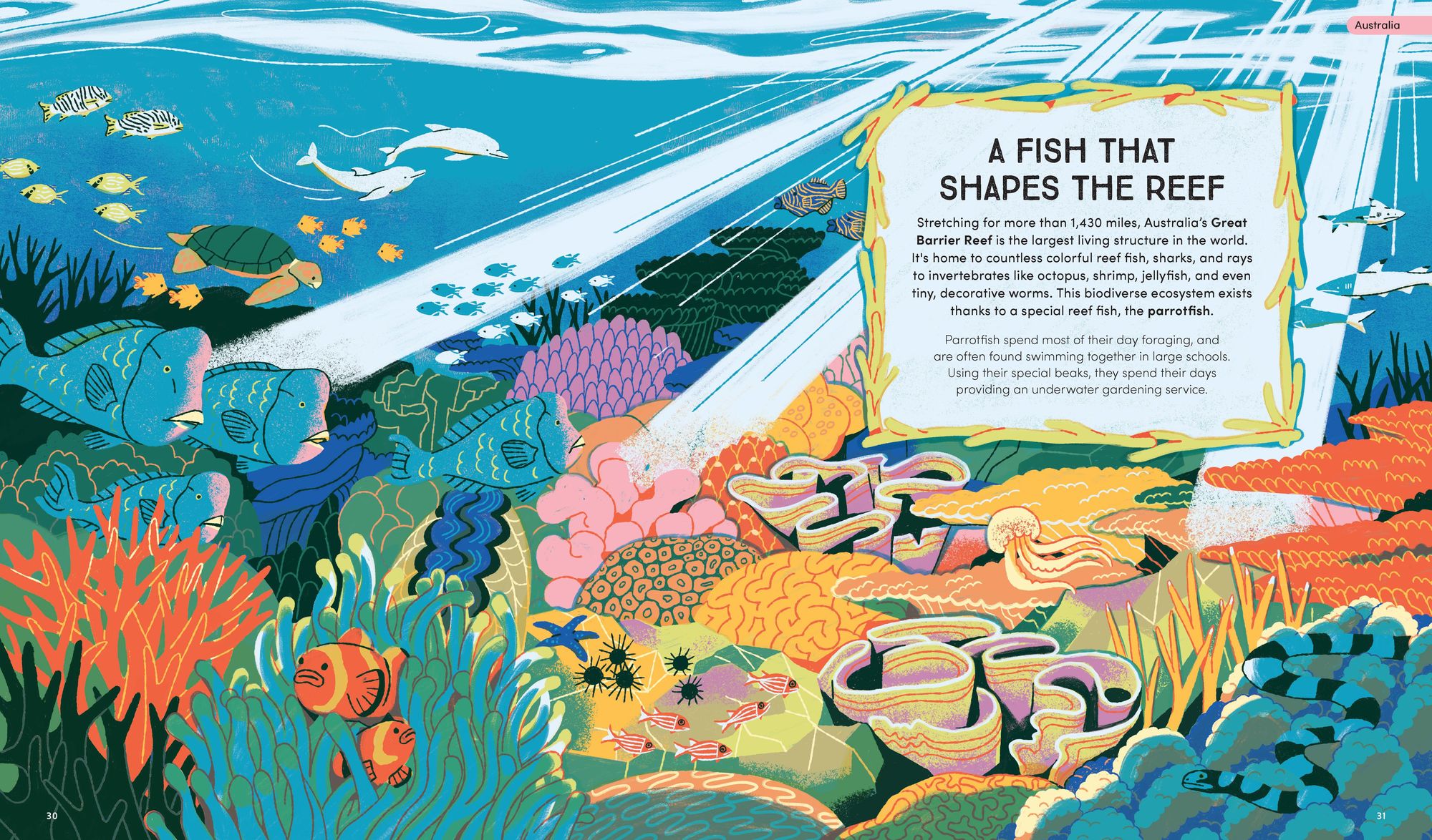 Wildlife in the Balance: The Species that Shape Earth's Ecosystems