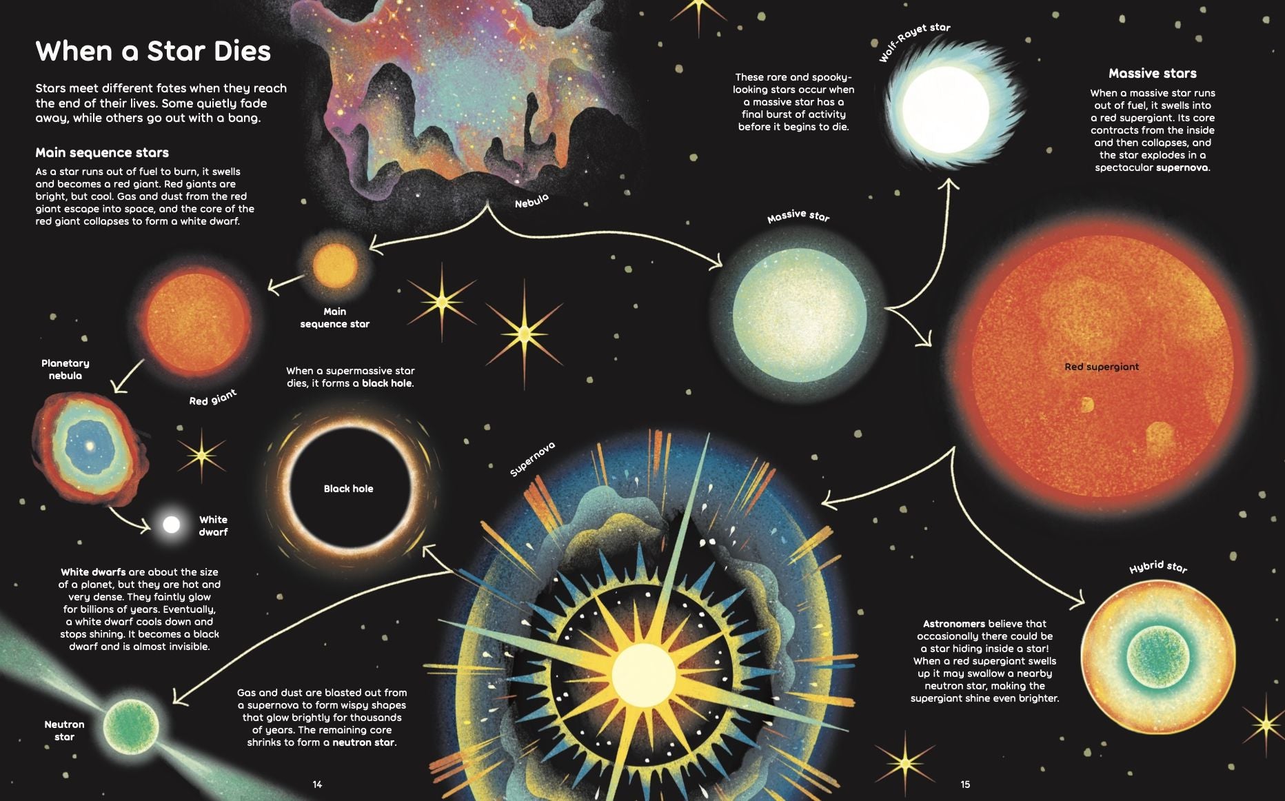 Wish Upon a Star: The Science, Magic and Meaning of Stars