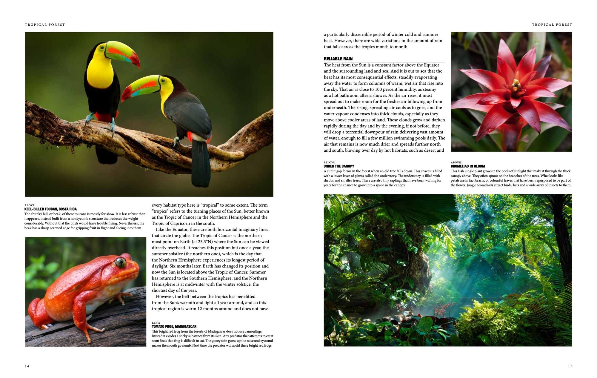 Natural History of the World: A Photographic Exploration of Earth's Animals, Plants and Landscapes
