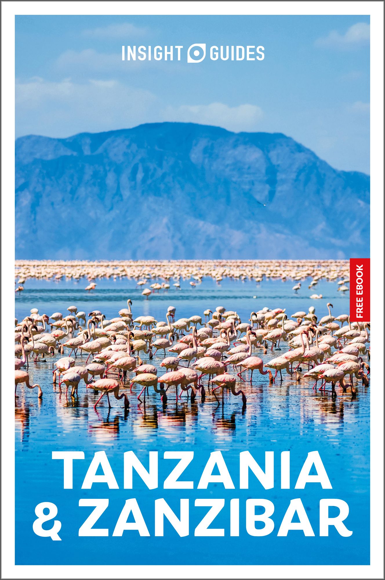 Insight Guides Tanzania and Zanzibar: Travel Guide with eBook: 2026-2027 Culture & Society Stunning Photos Expert Advice Covers: Dar es Salaam, Serengeti, Lake Victoria and more
