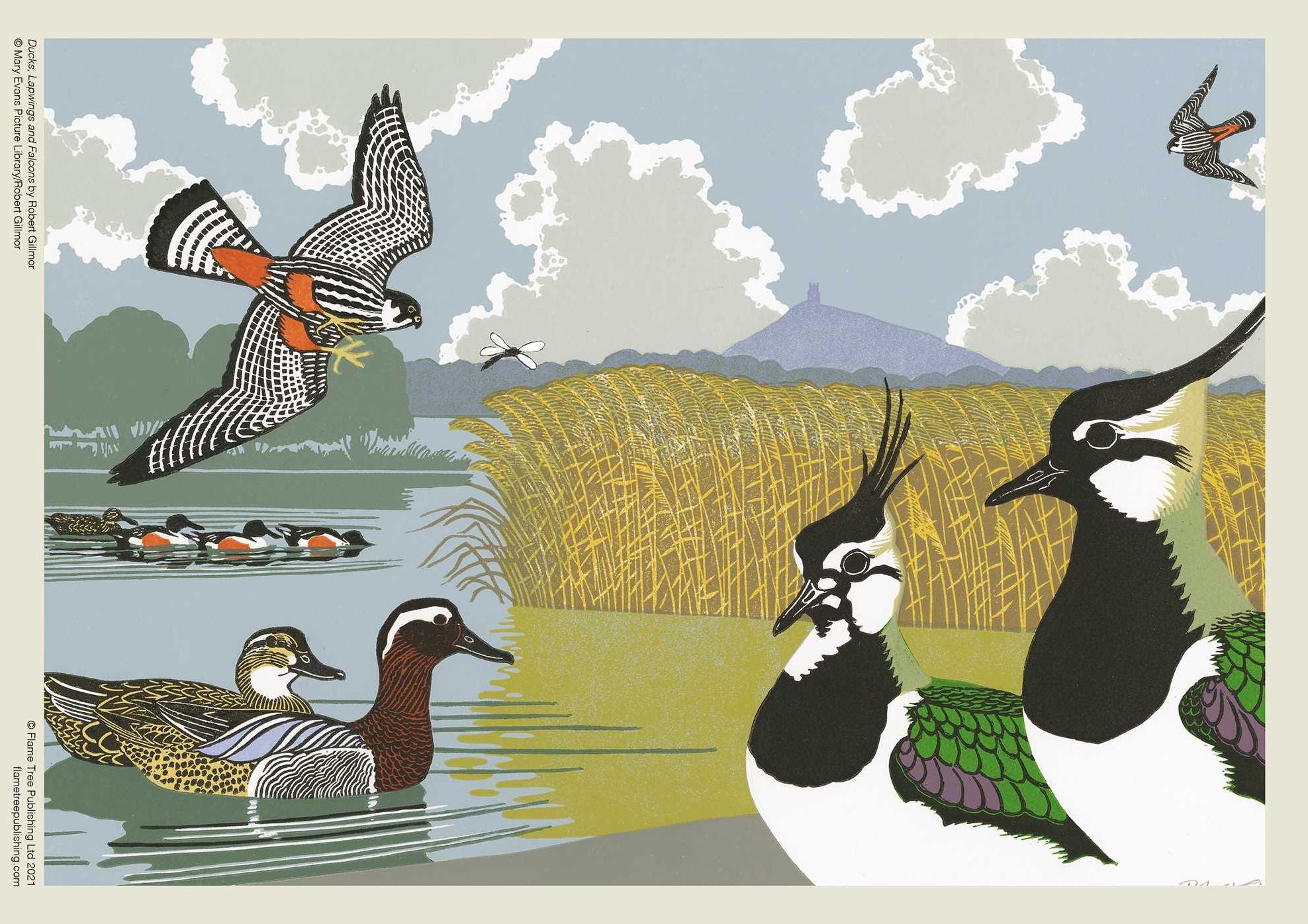 Adult Jigsaw Puzzle Robert Gillmor: Ducks, Falcons and Lapwings: 1000-Piece Jigsaw Puzzles