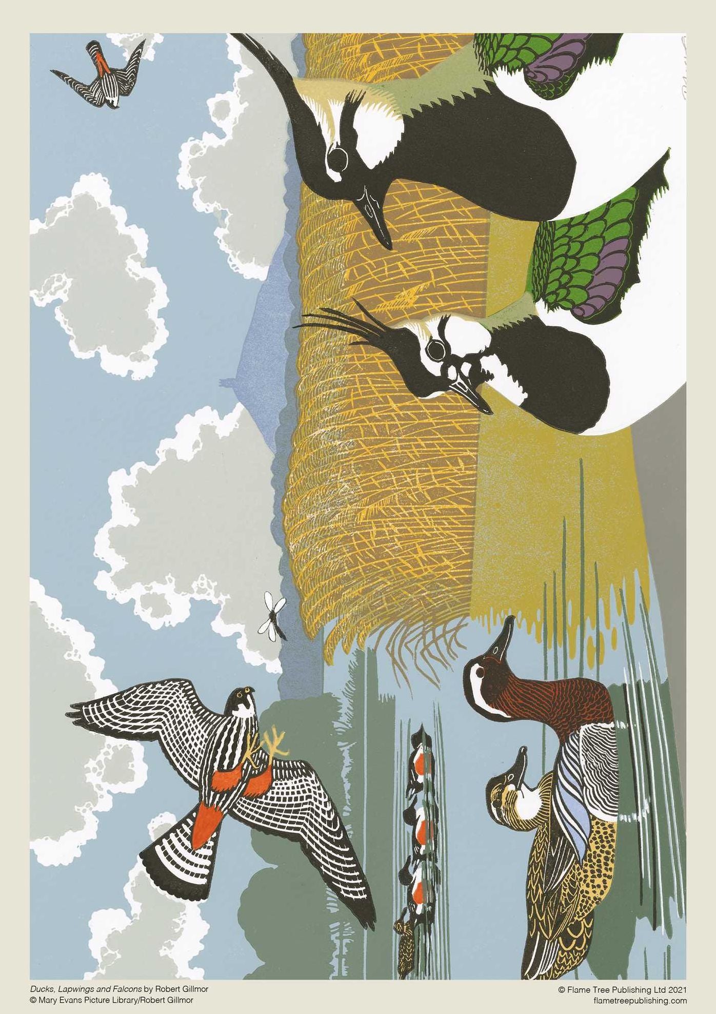 Adult Jigsaw Puzzle Robert Gillmor: Ducks, Falcons and Lapwings: 1000-Piece Jigsaw Puzzles