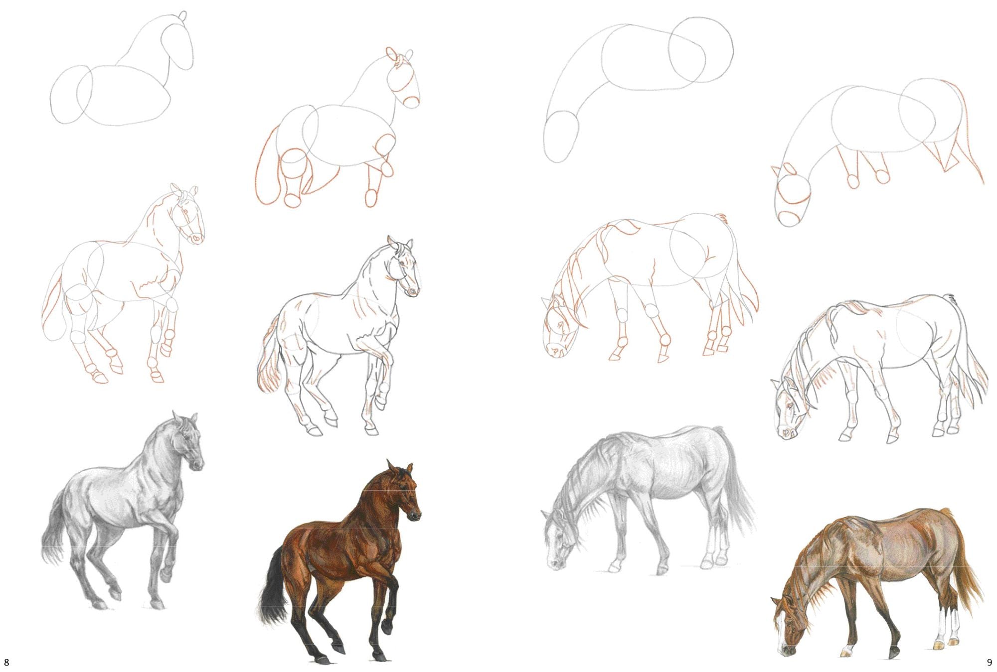 How to Draw Horses in Simple Steps