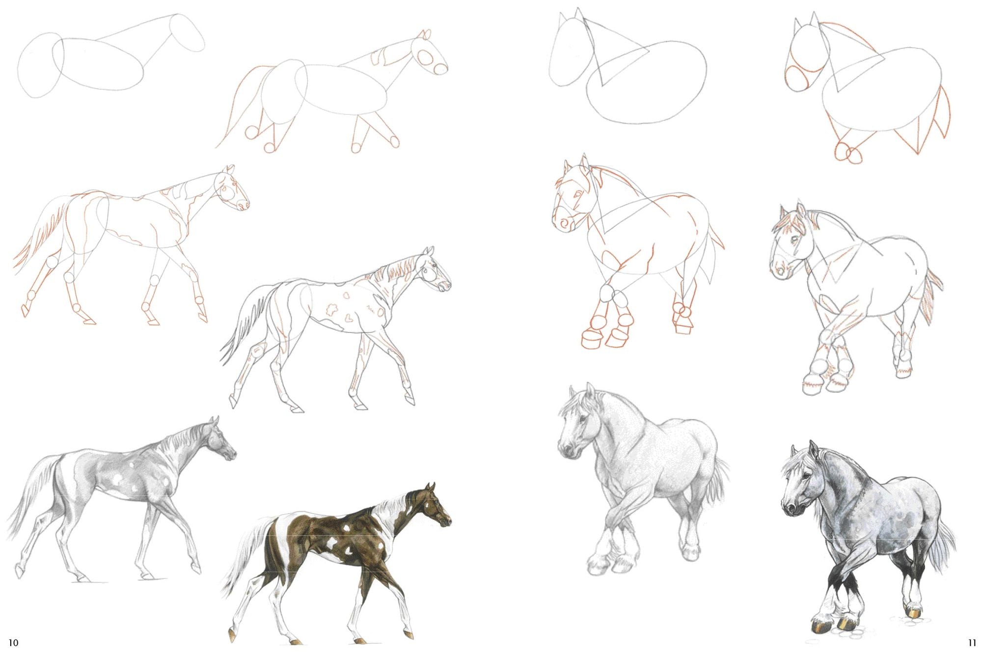 How to Draw Horses in Simple Steps