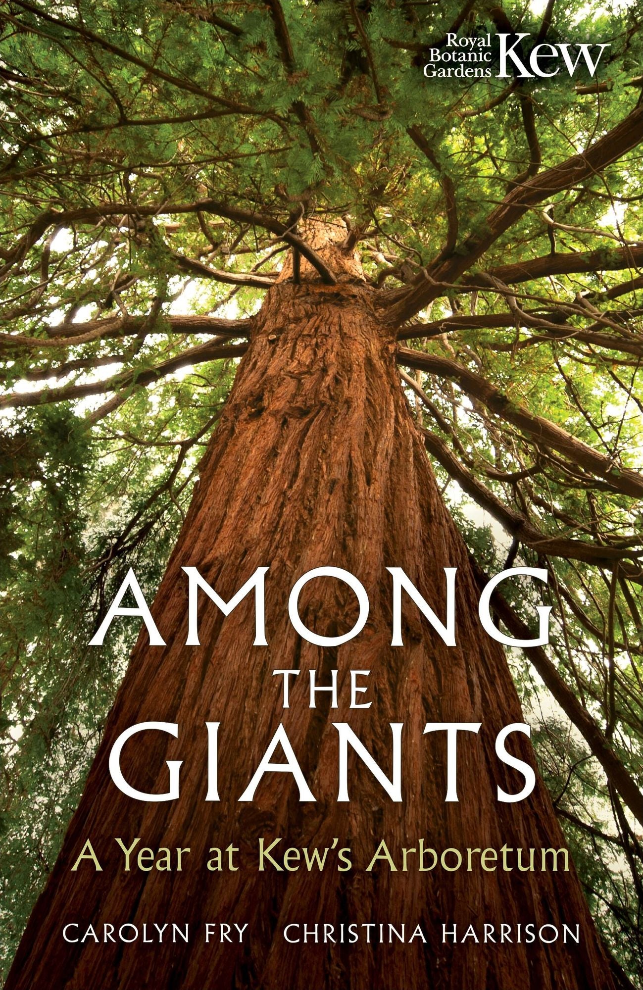 Among the Giants: Life in the Trees at Kew