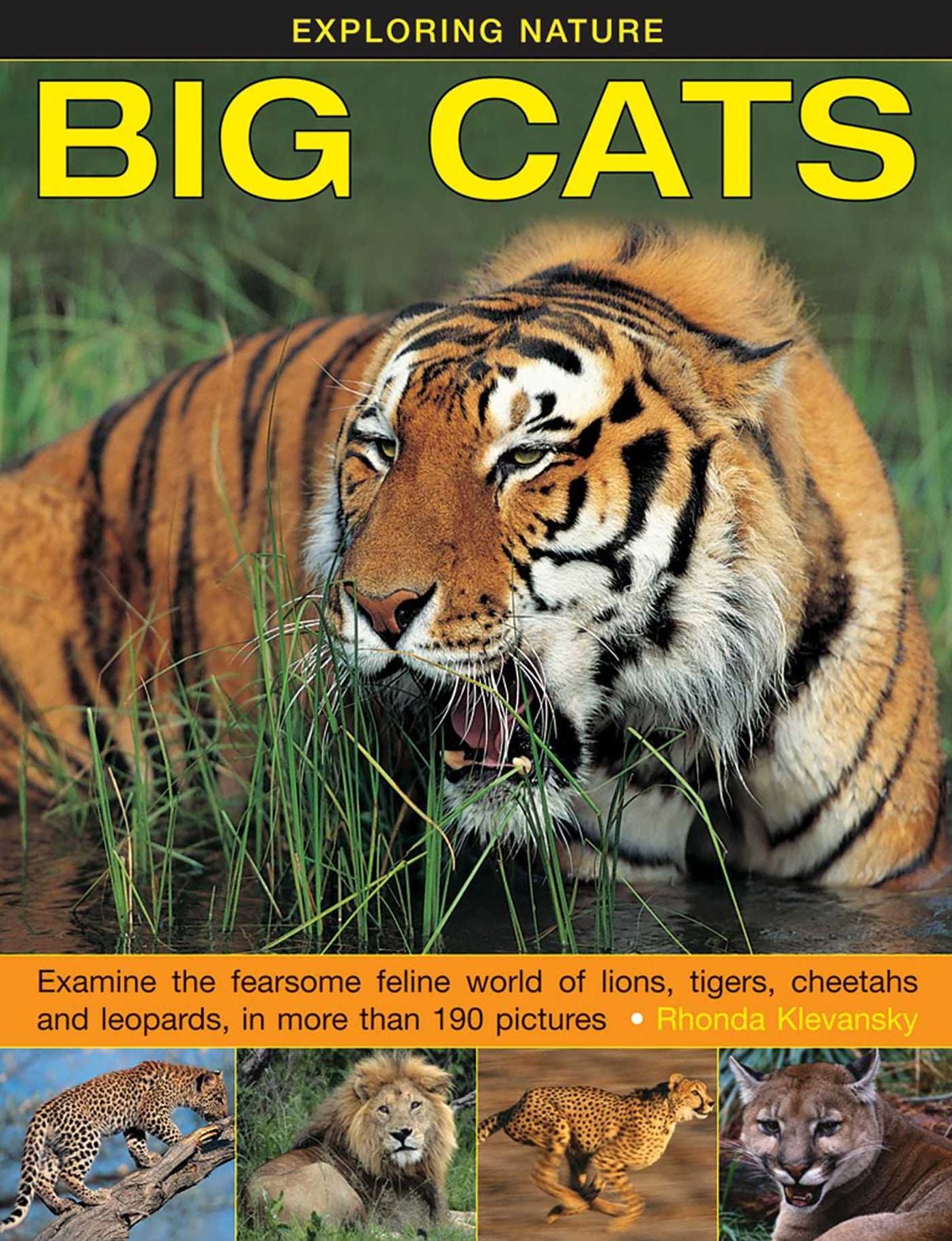 Big Cats: Examine The Fearsome Feline World Of Lions, Tigers, Cheetahs And Leopards, In More Than 190 Pictures