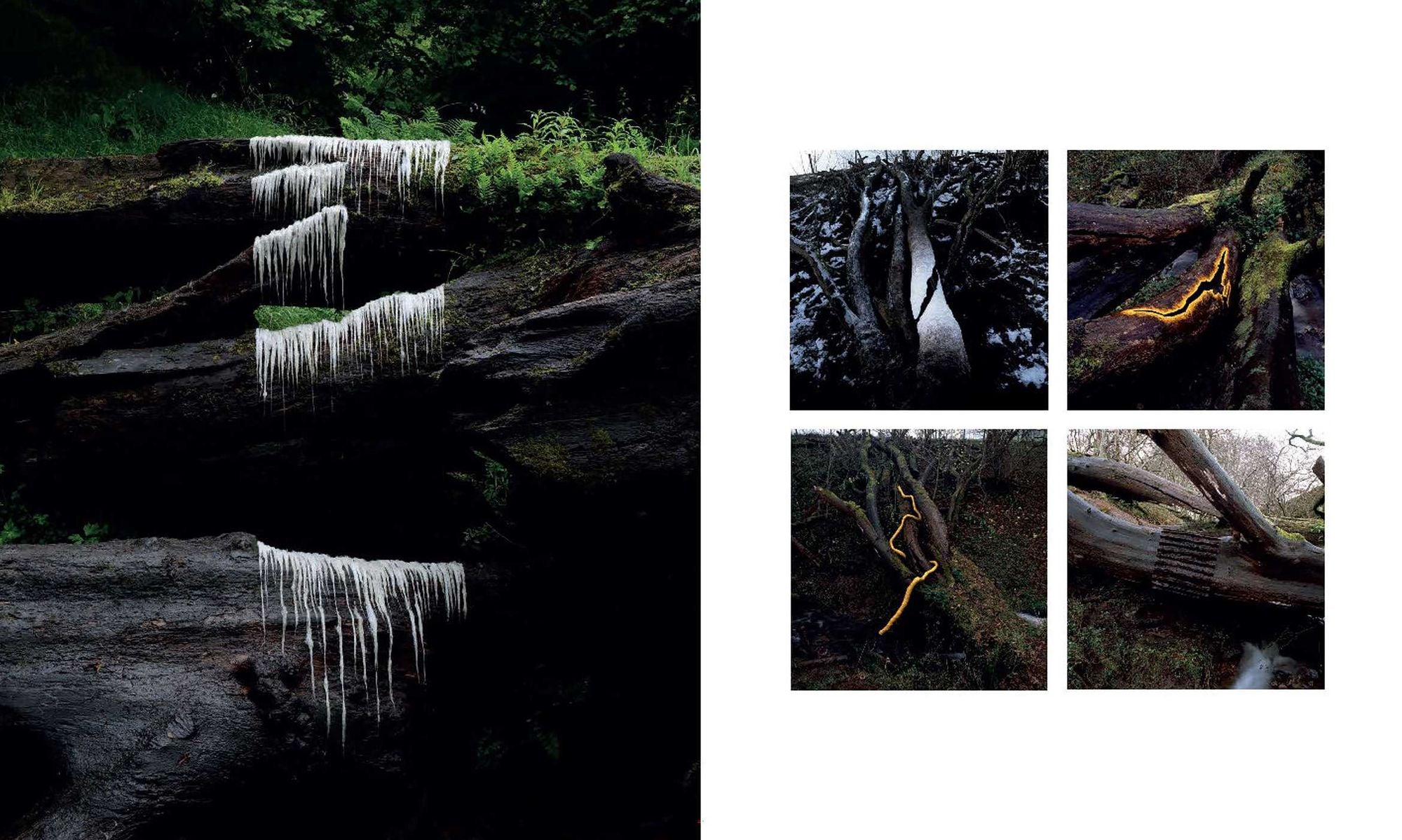 Andy Goldsworthy: Fifty Years