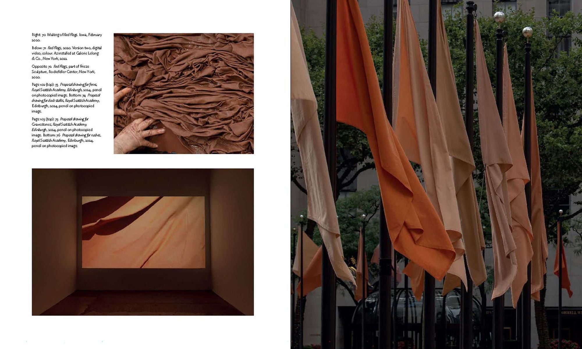 Andy Goldsworthy: Fifty Years