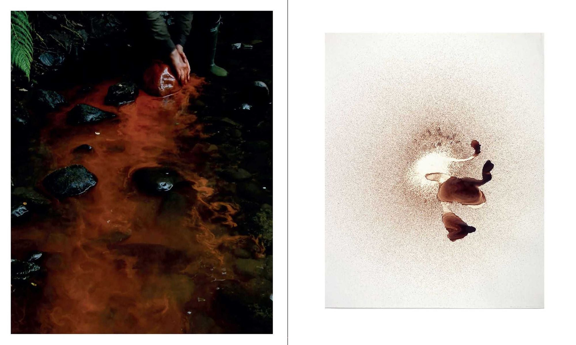 Andy Goldsworthy: Fifty Years