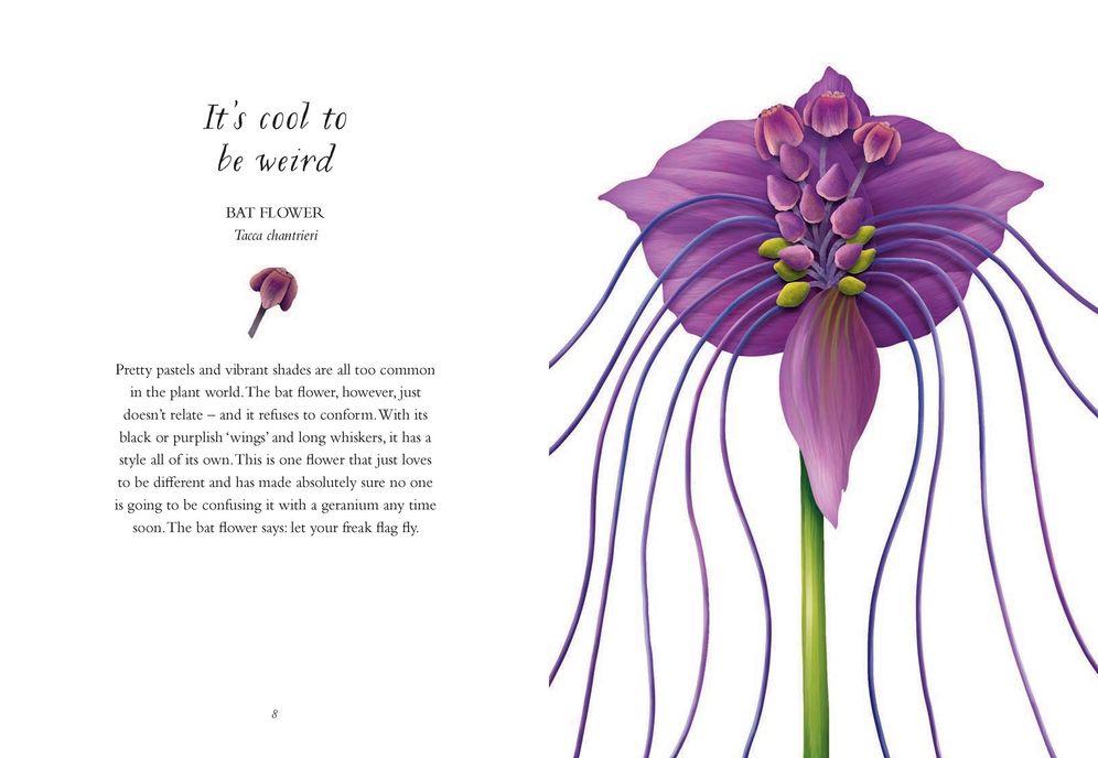 The Wisdom of Flowers: Essential Life Lessons for Joy and Wellbeing