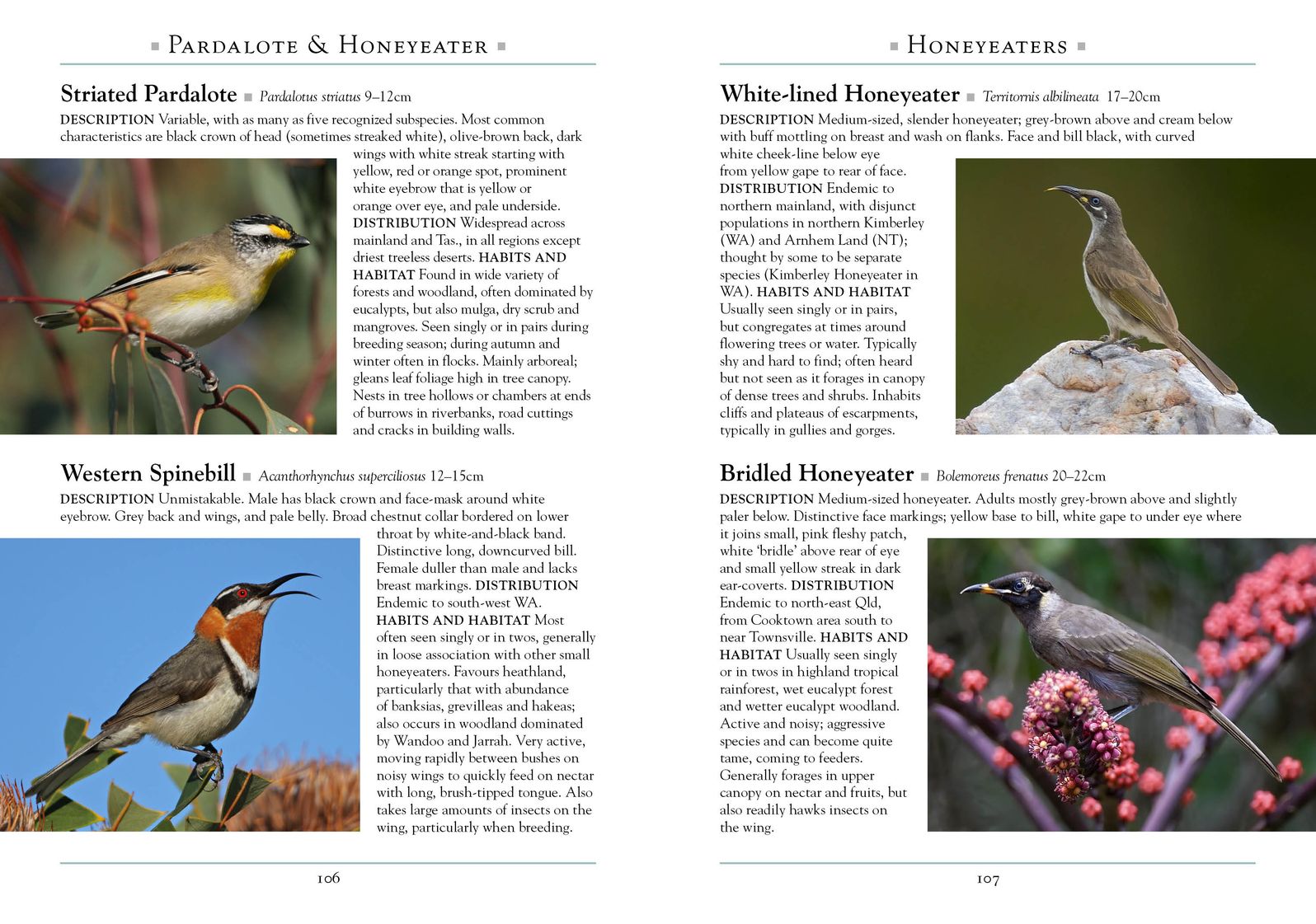 A Naturalist's Guide to the Birds of Australia