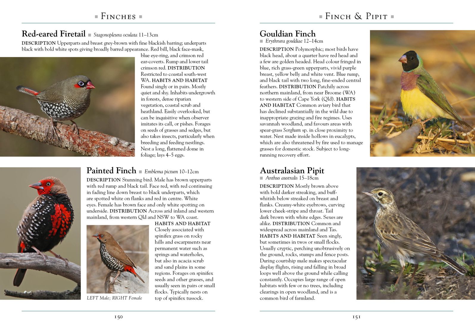 A Naturalist's Guide to the Birds of Australia