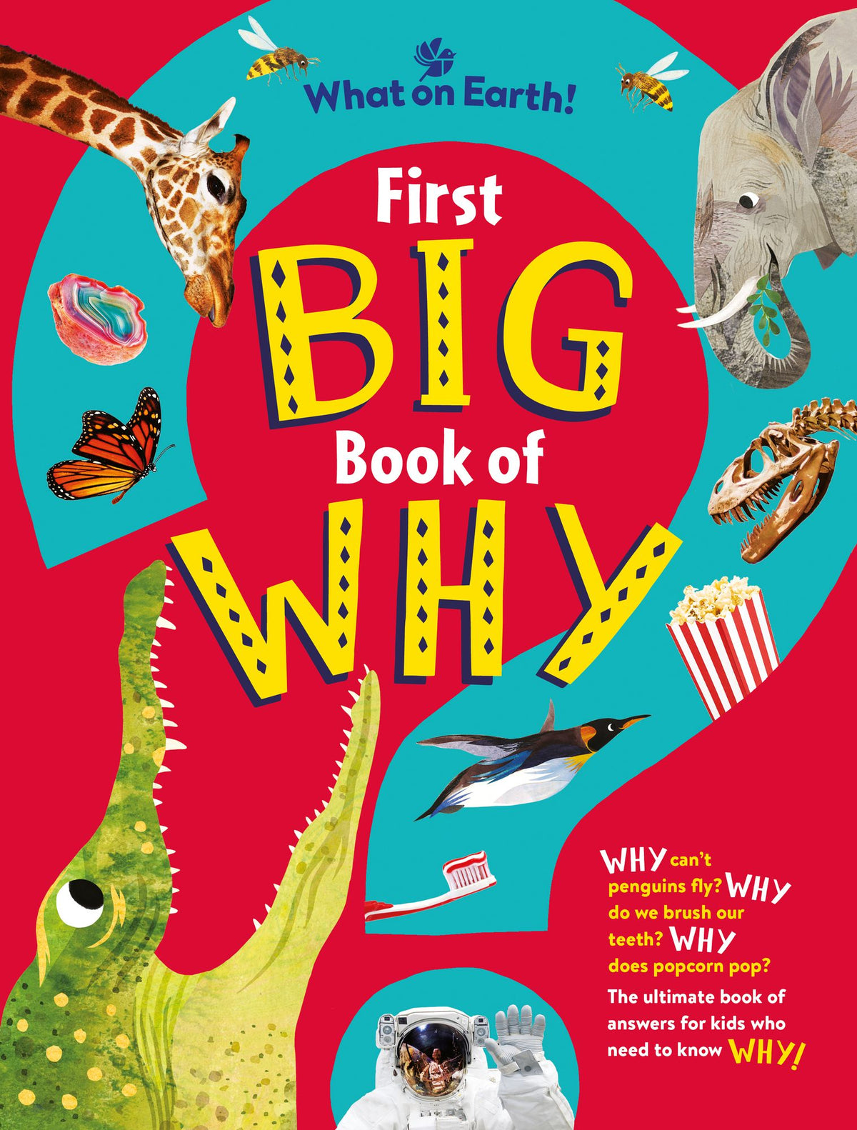 First Big Book of Why: Why can't penguins fly? Why do we brush our teeth? Why does popcorn pop? The ultimate book of answers for kids who need to know WHY!