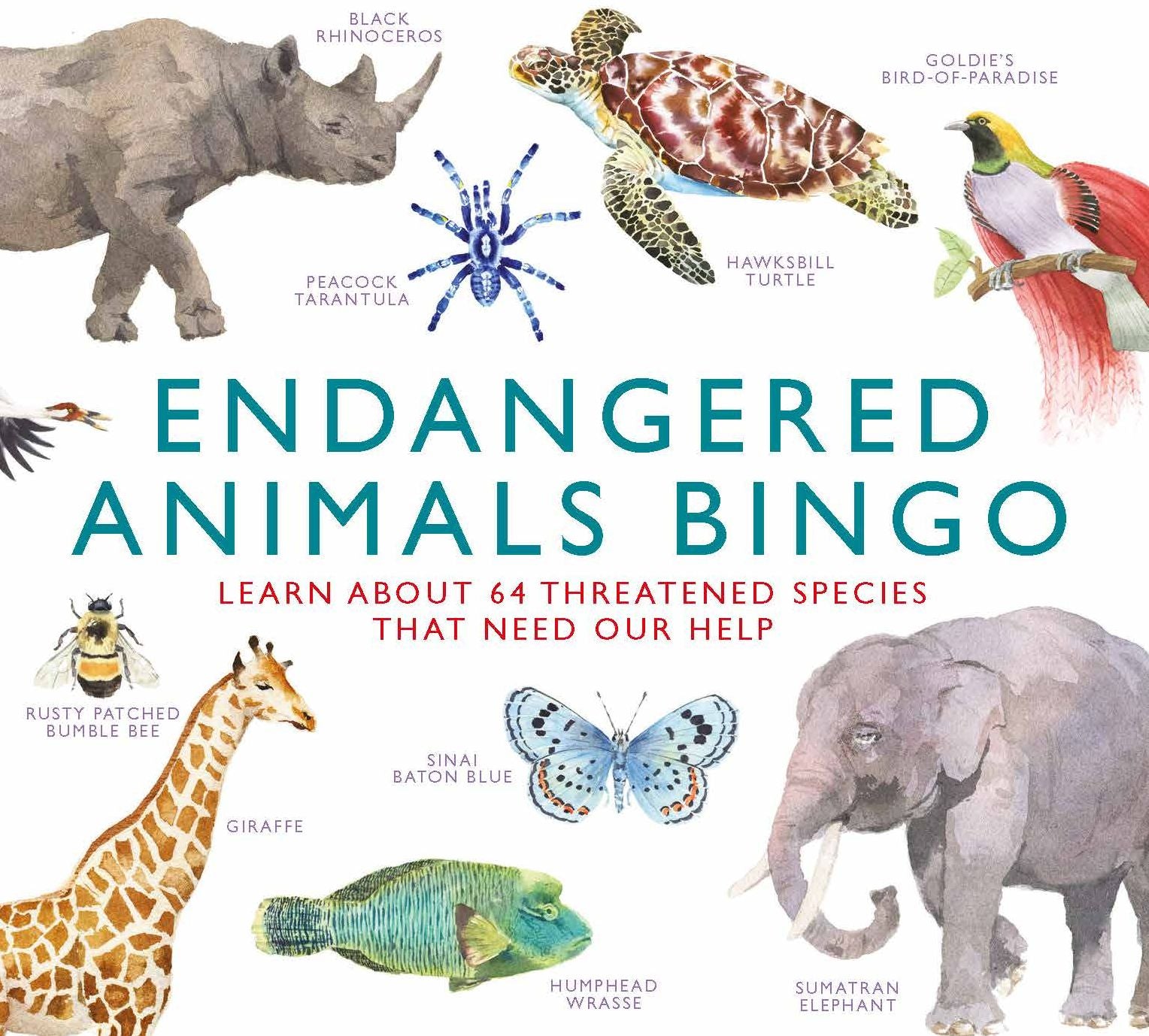 Endangered Animals Bingo: Learn About 64 Threatened Species That Need Our Help