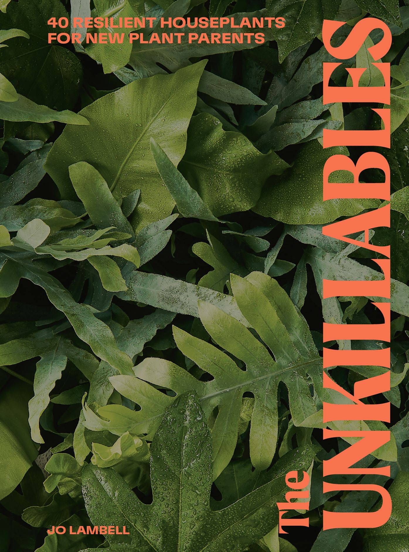 The Unkillables: 40 resilient house plants for new plant parents