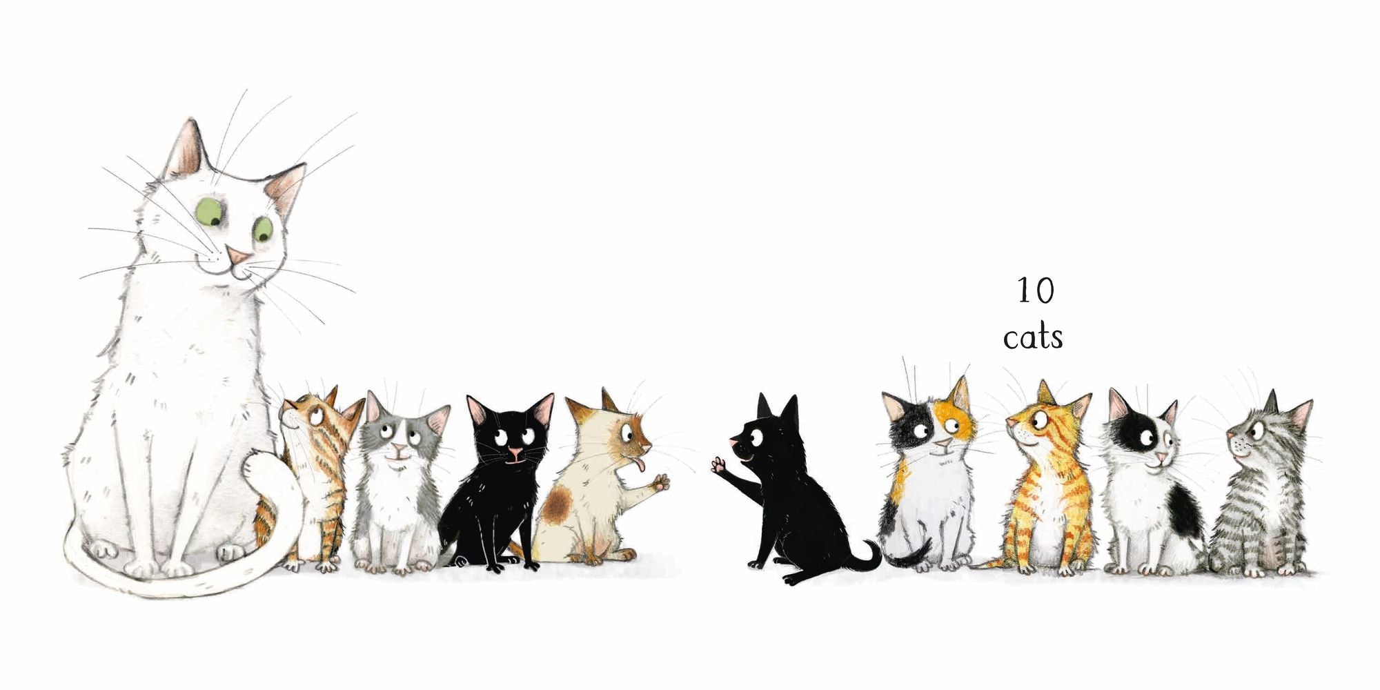 10 Cats