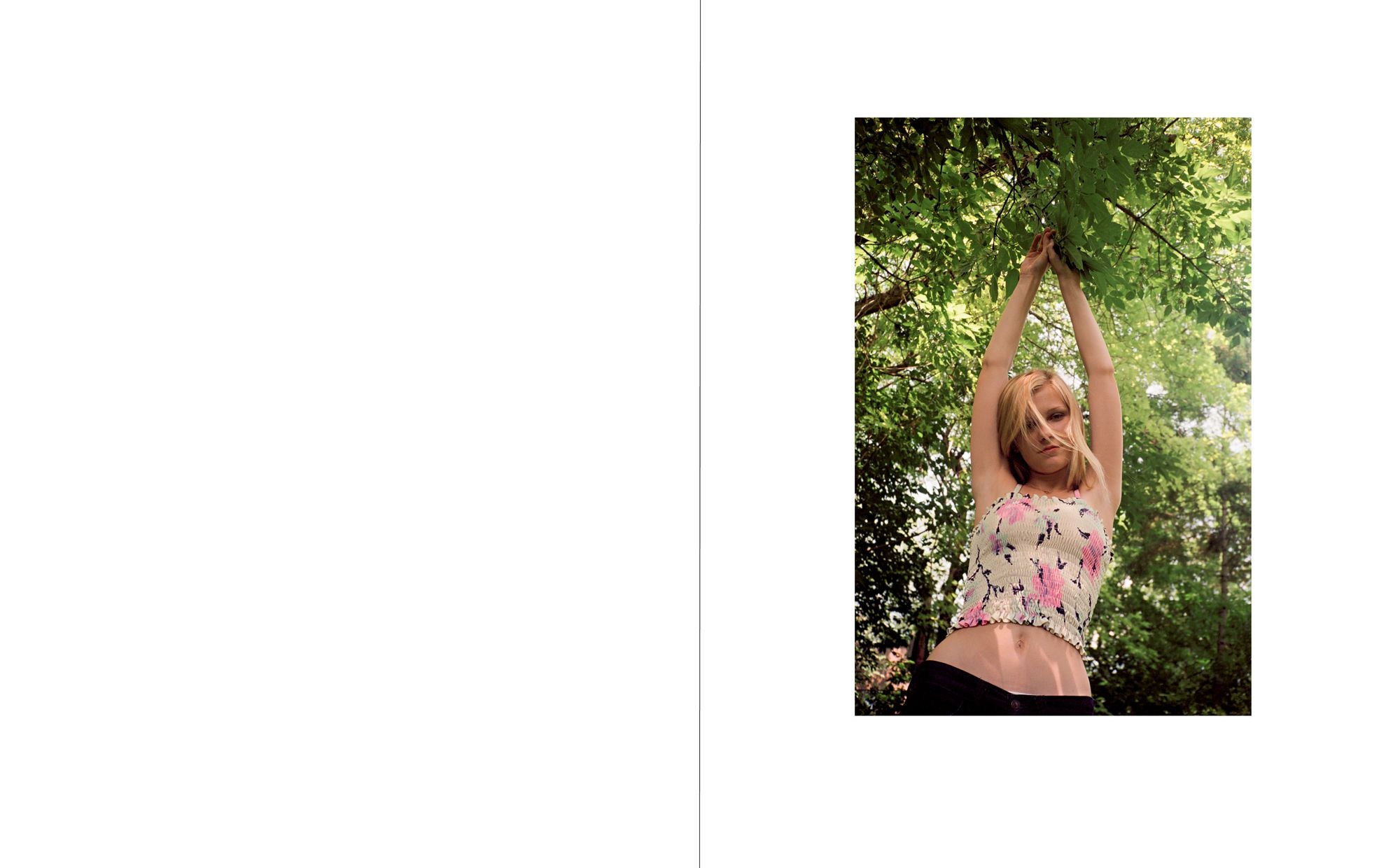 The Virgin Suicides