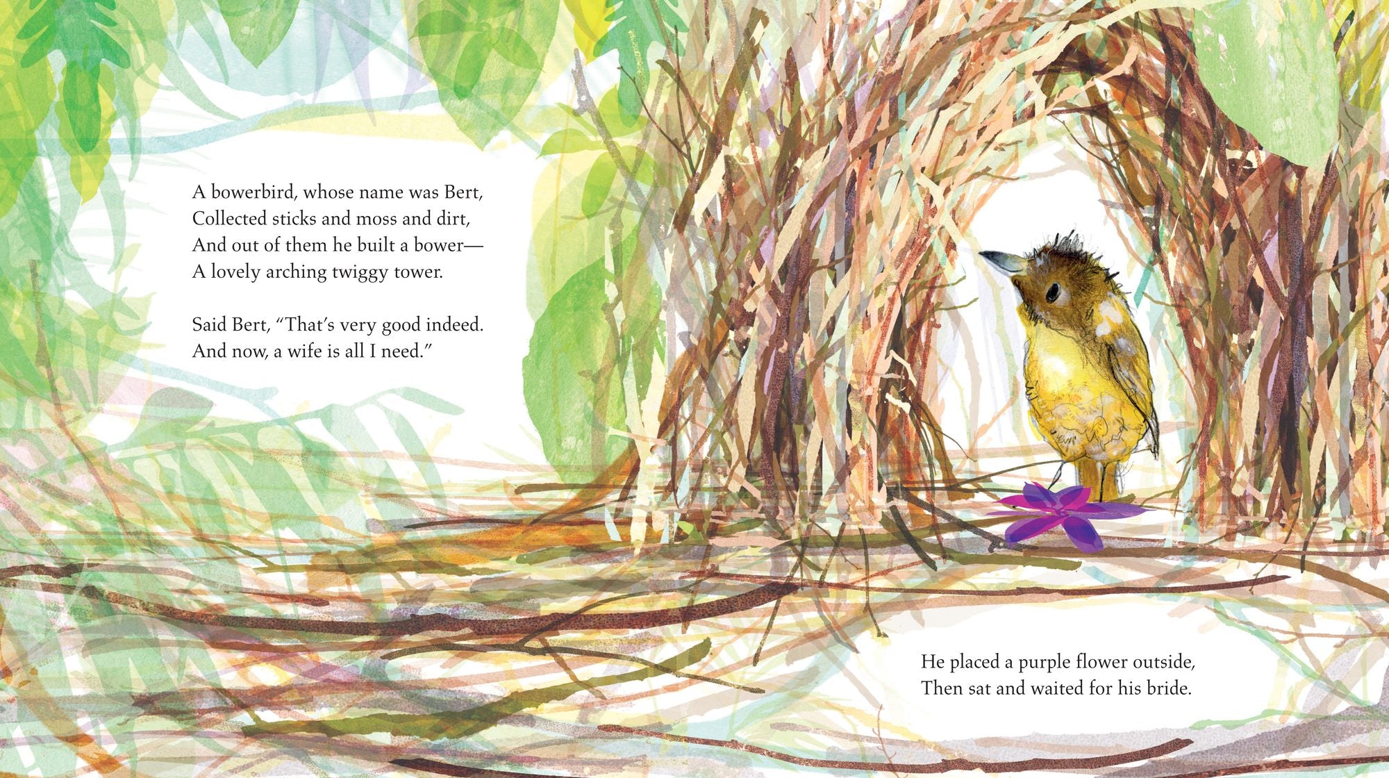 Bert, the Bowerbird: The small bird with a big heart