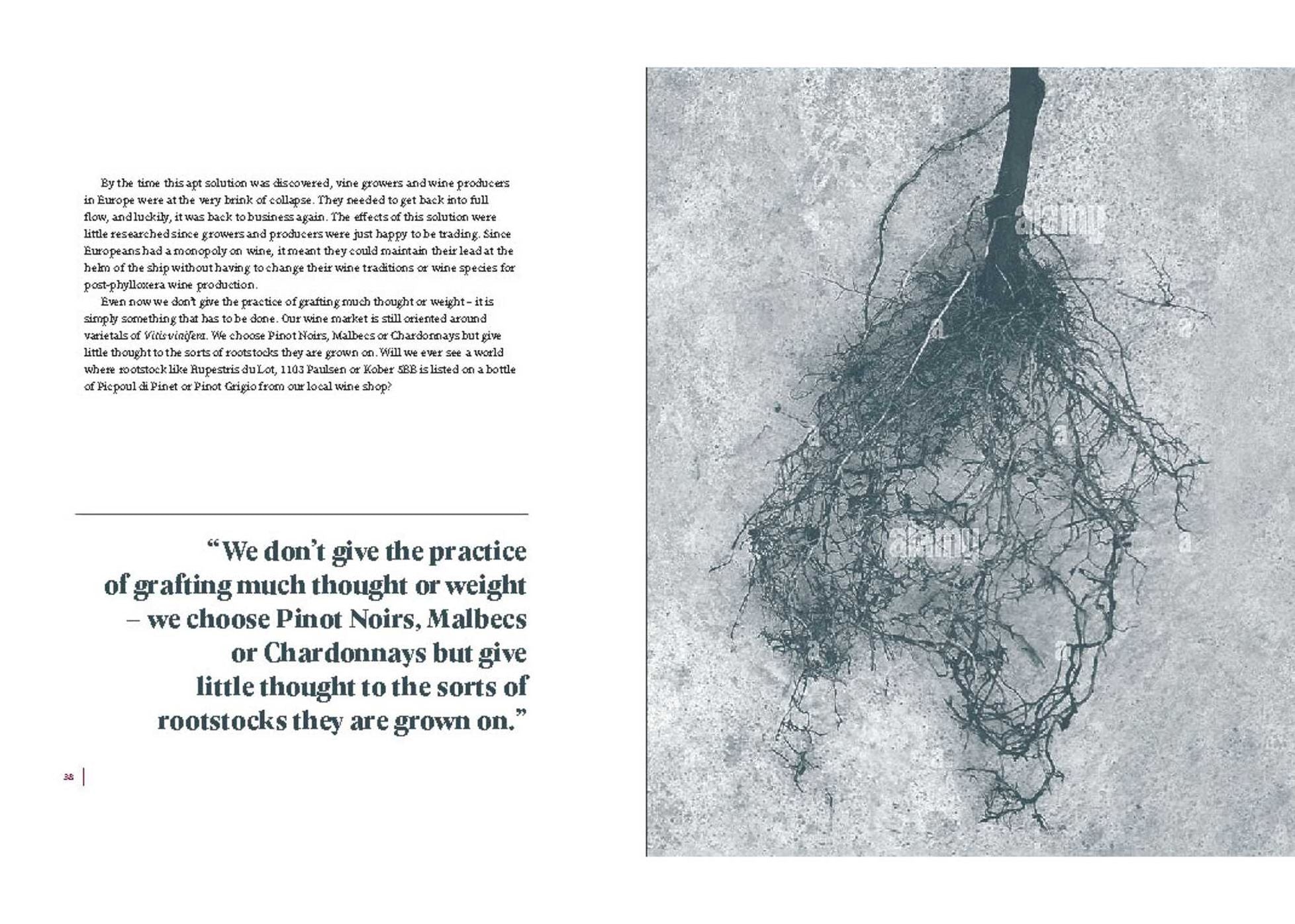 The Cynic's Guide to Wine