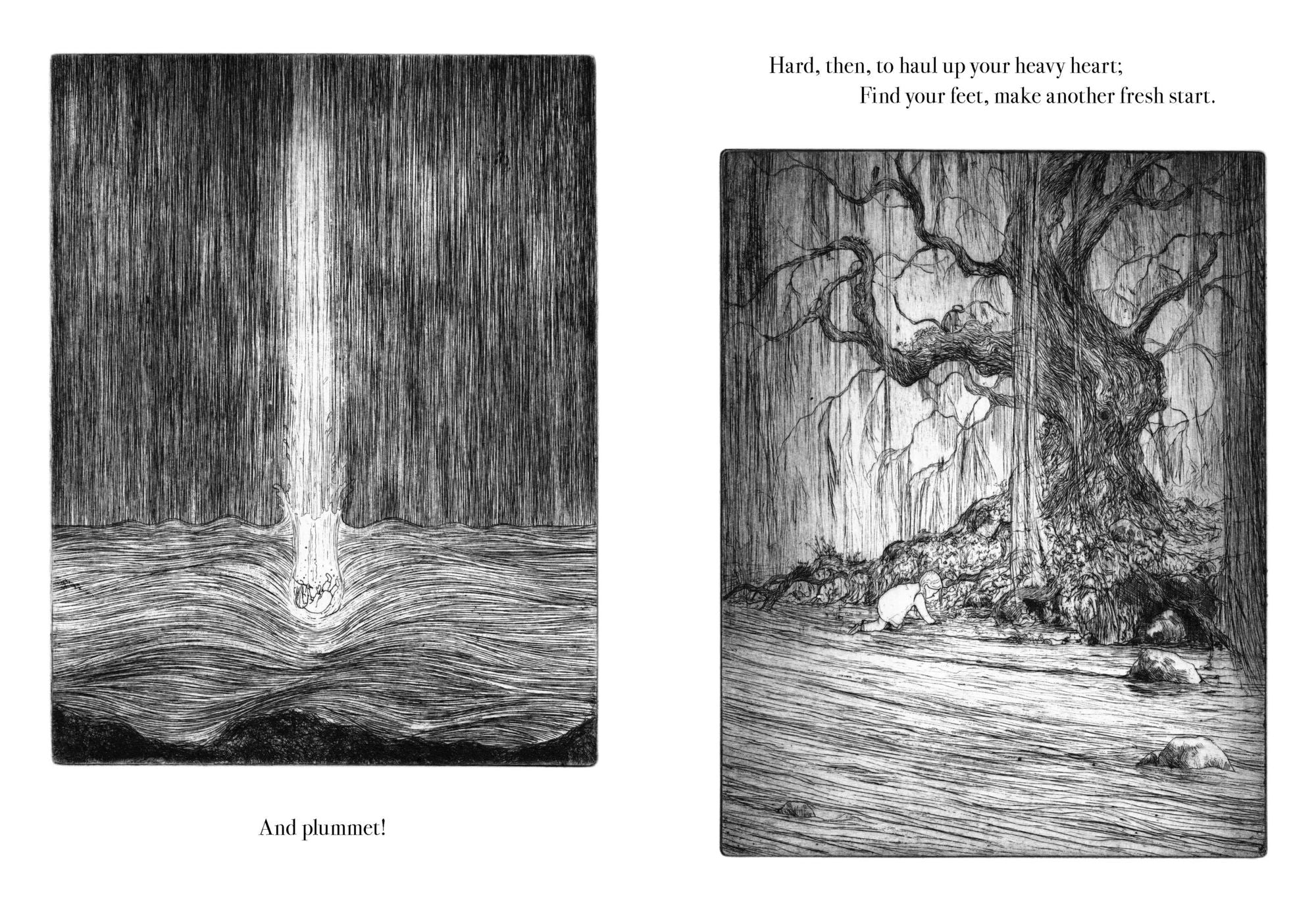 Night Creatures: Firefly: An uplifting and lyrical story of light, hope, and wonder