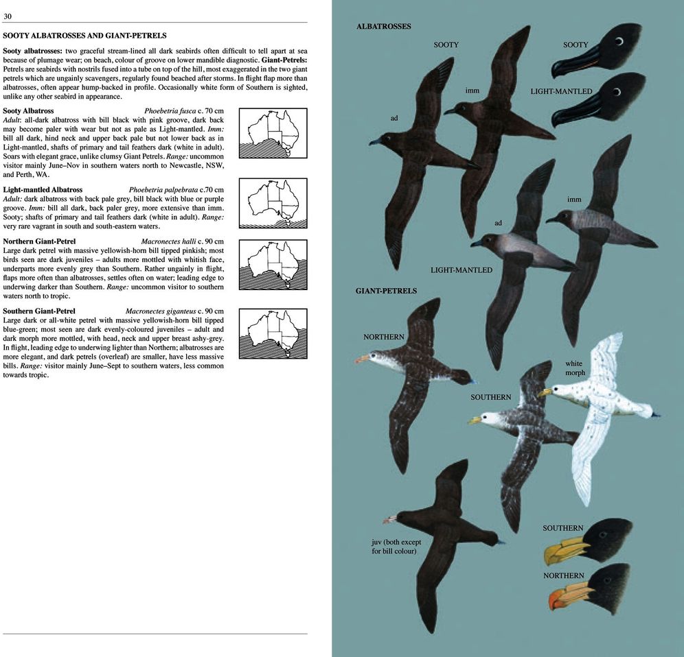 The Slater Field Guide to Australian Birds