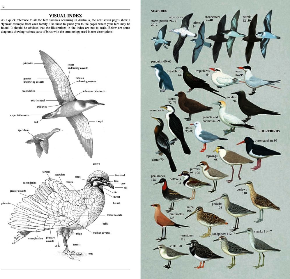 The Slater Field Guide to Australian Birds