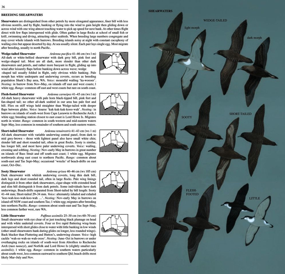 The Slater Field Guide to Australian Birds