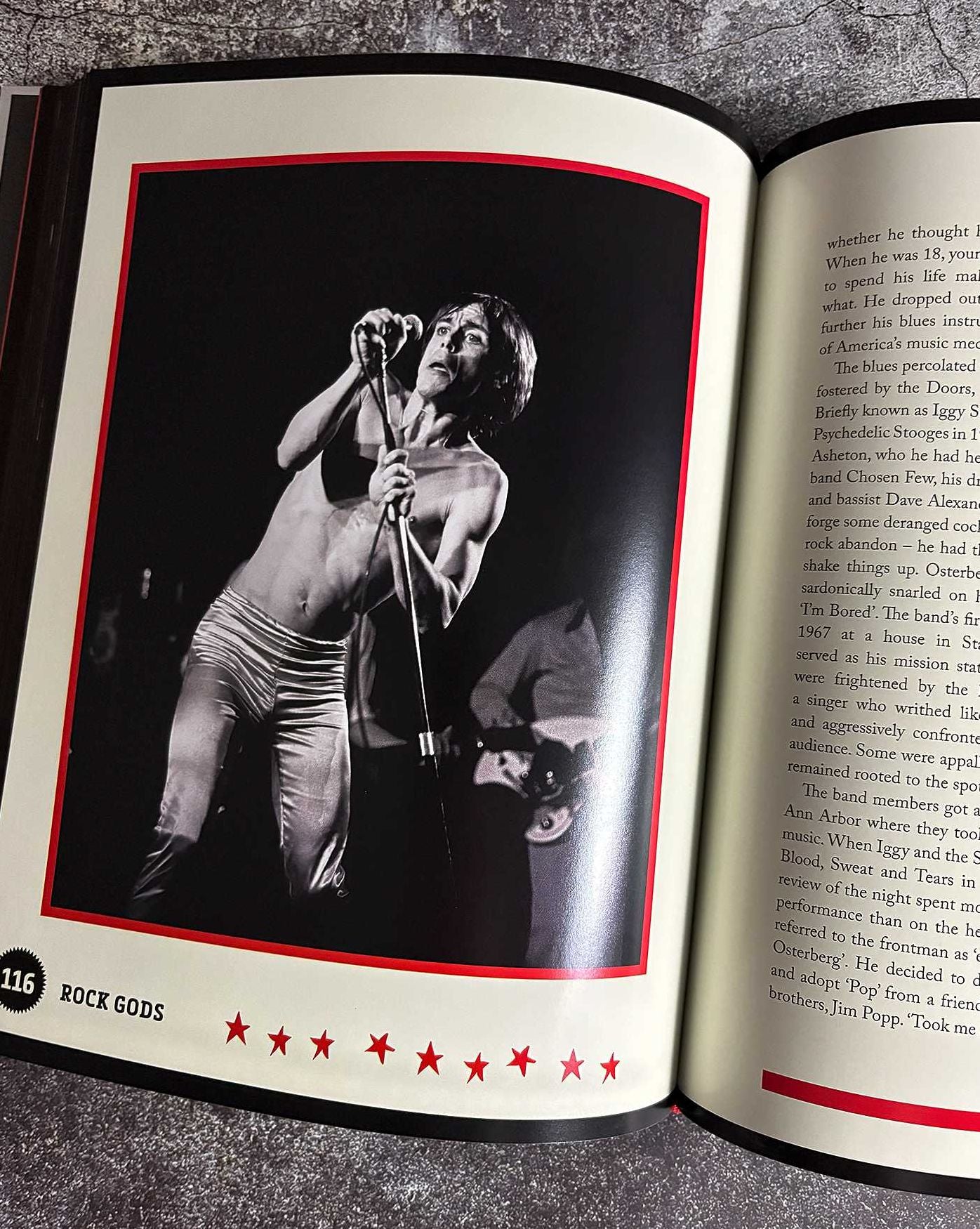 Rock Gods: The greatest showmen and most influential songwriters of the rock era