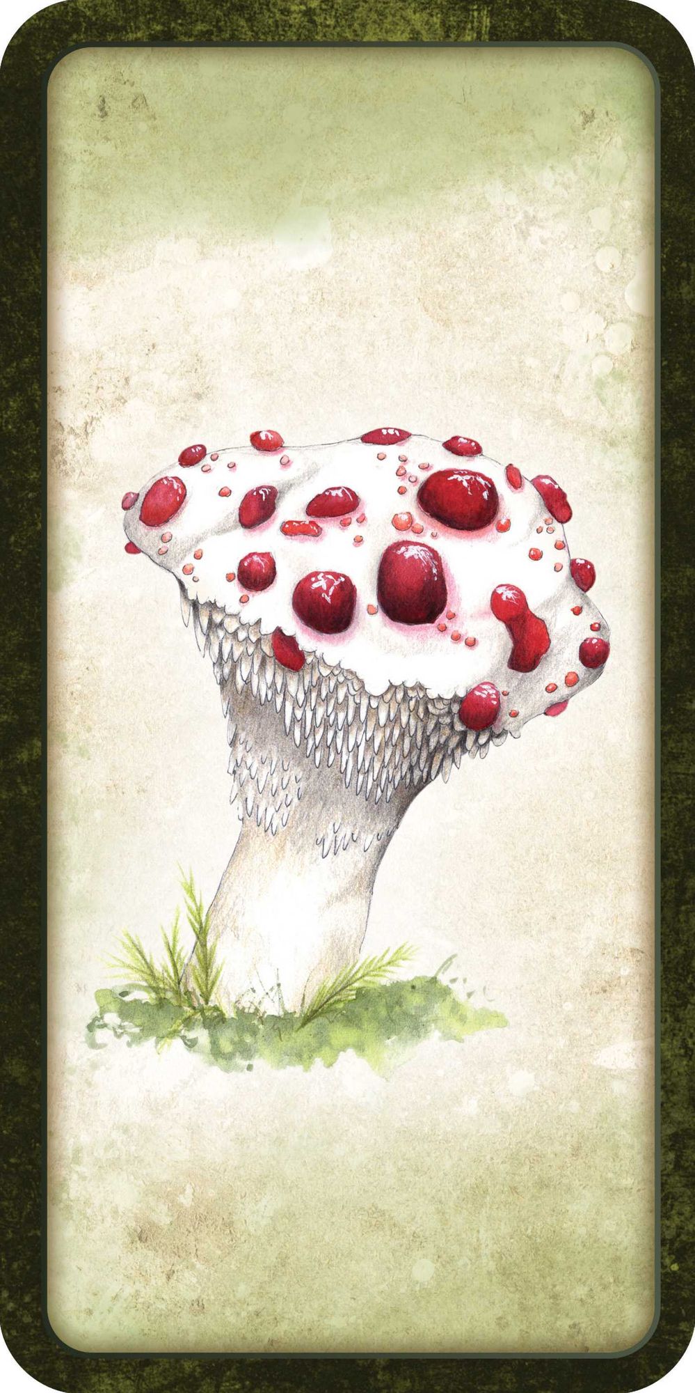 Mushroom Affirmations