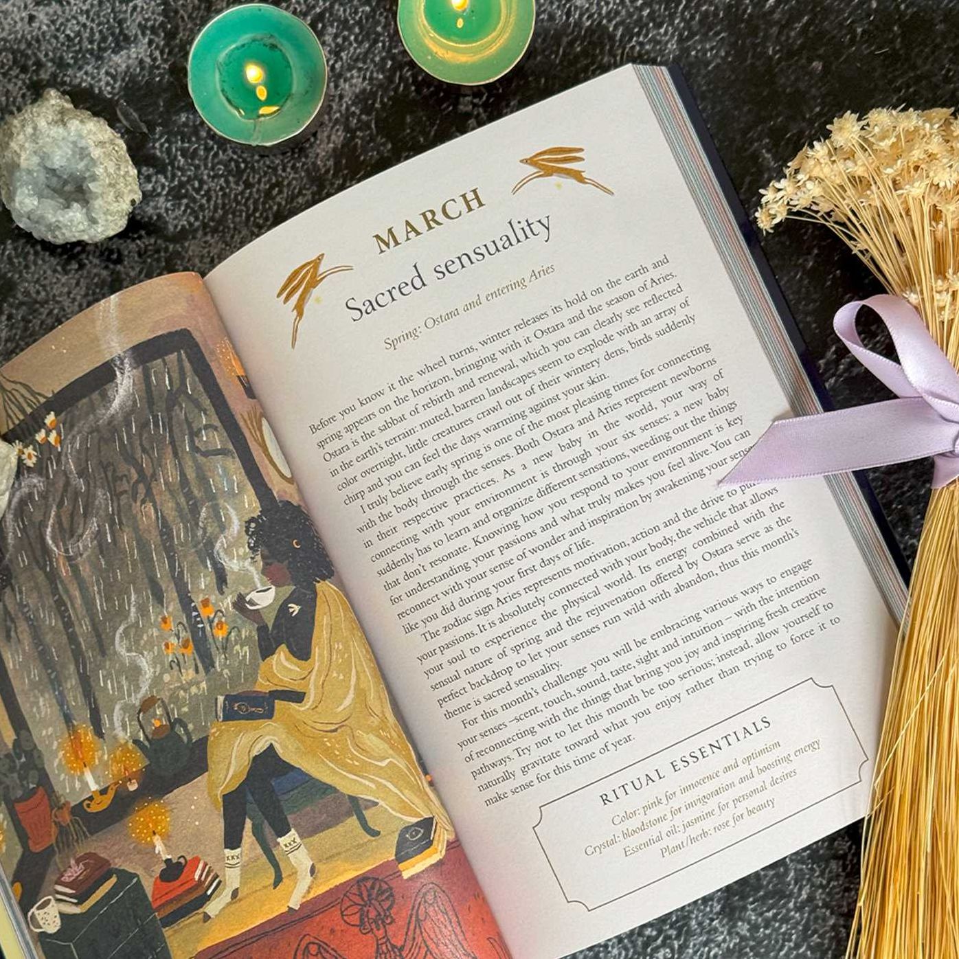 2026 Seasons of the Witch Planner Calendar