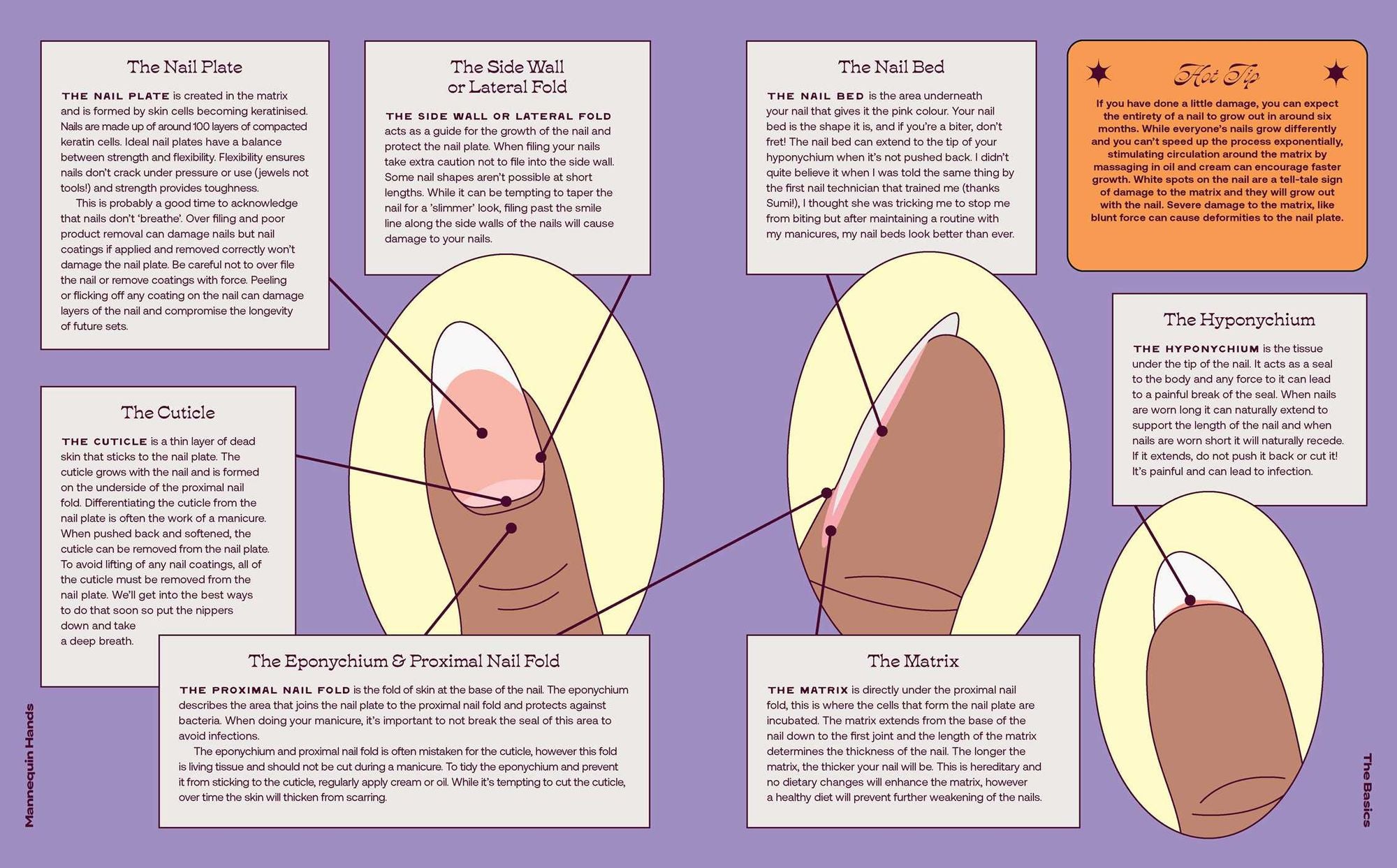 Mannequin Hands: Your Guide to Nail Art
