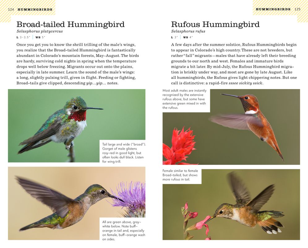 The American Birding Association Field Guide to the Birds of Colorado