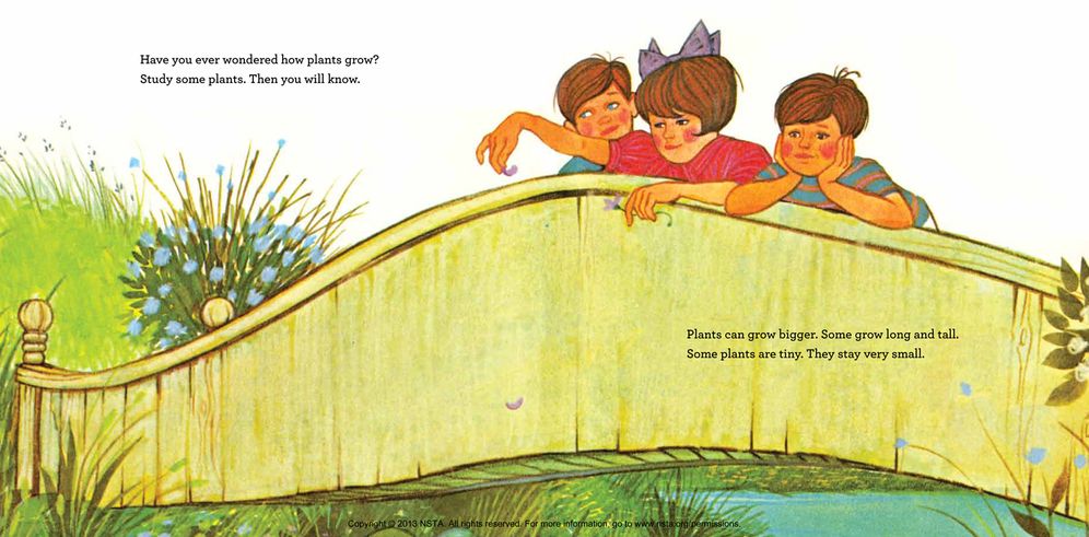 How Does a Plant Grow?