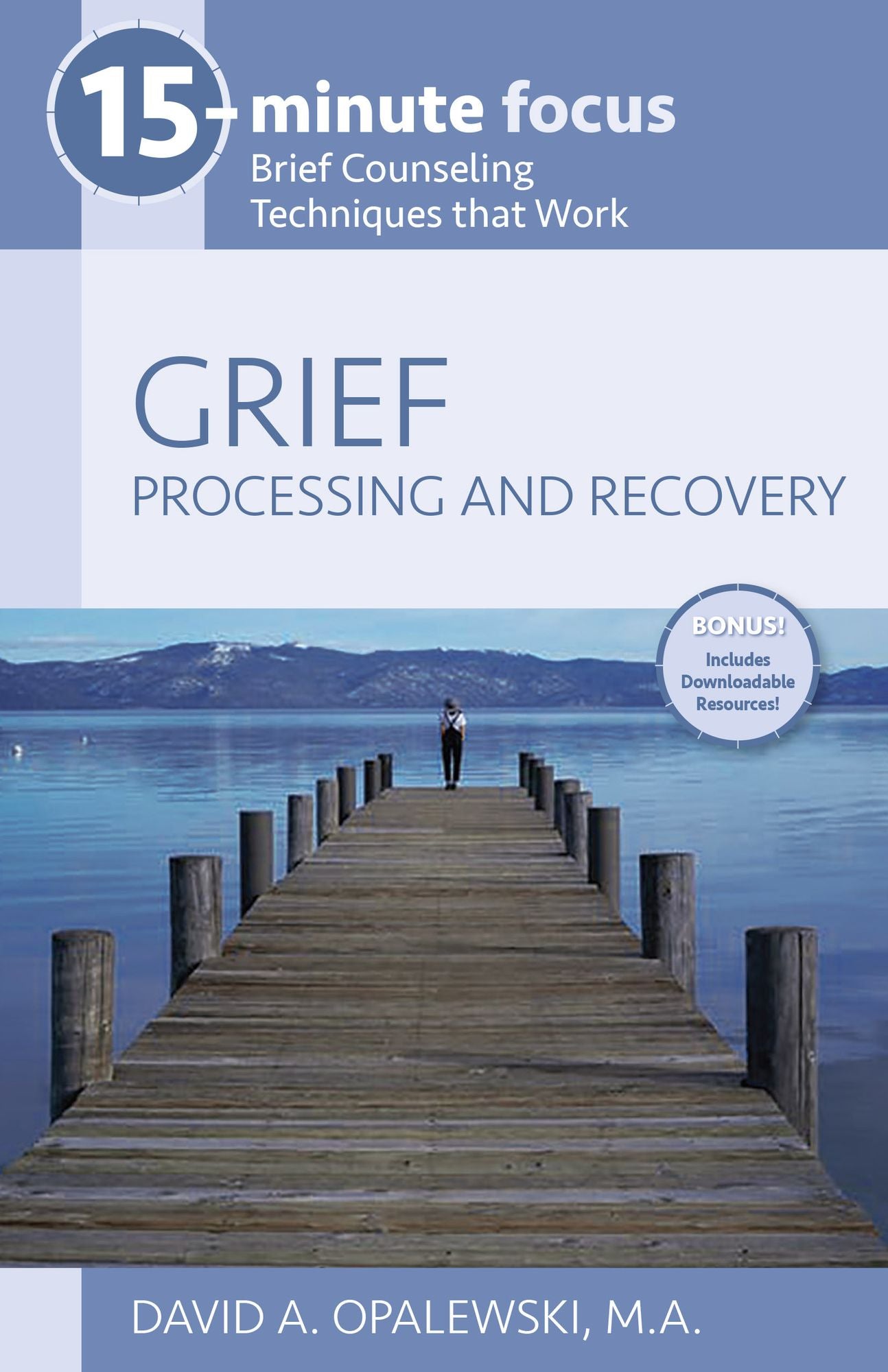 15-Minute Focus: Grief: Processing and Recovery: Brief Counseling Techniques that Work